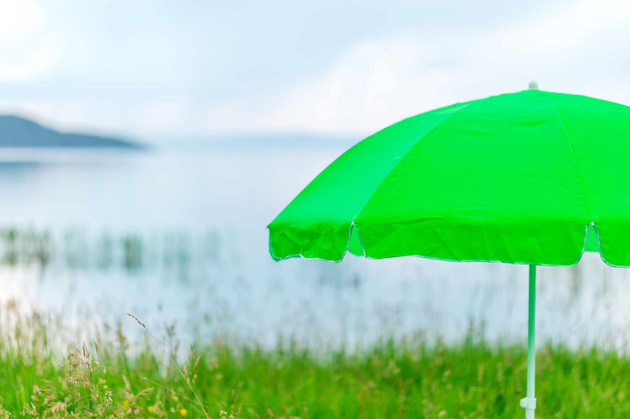 它好像一把很大又很高的绿色太阳伞一直打开着仿写