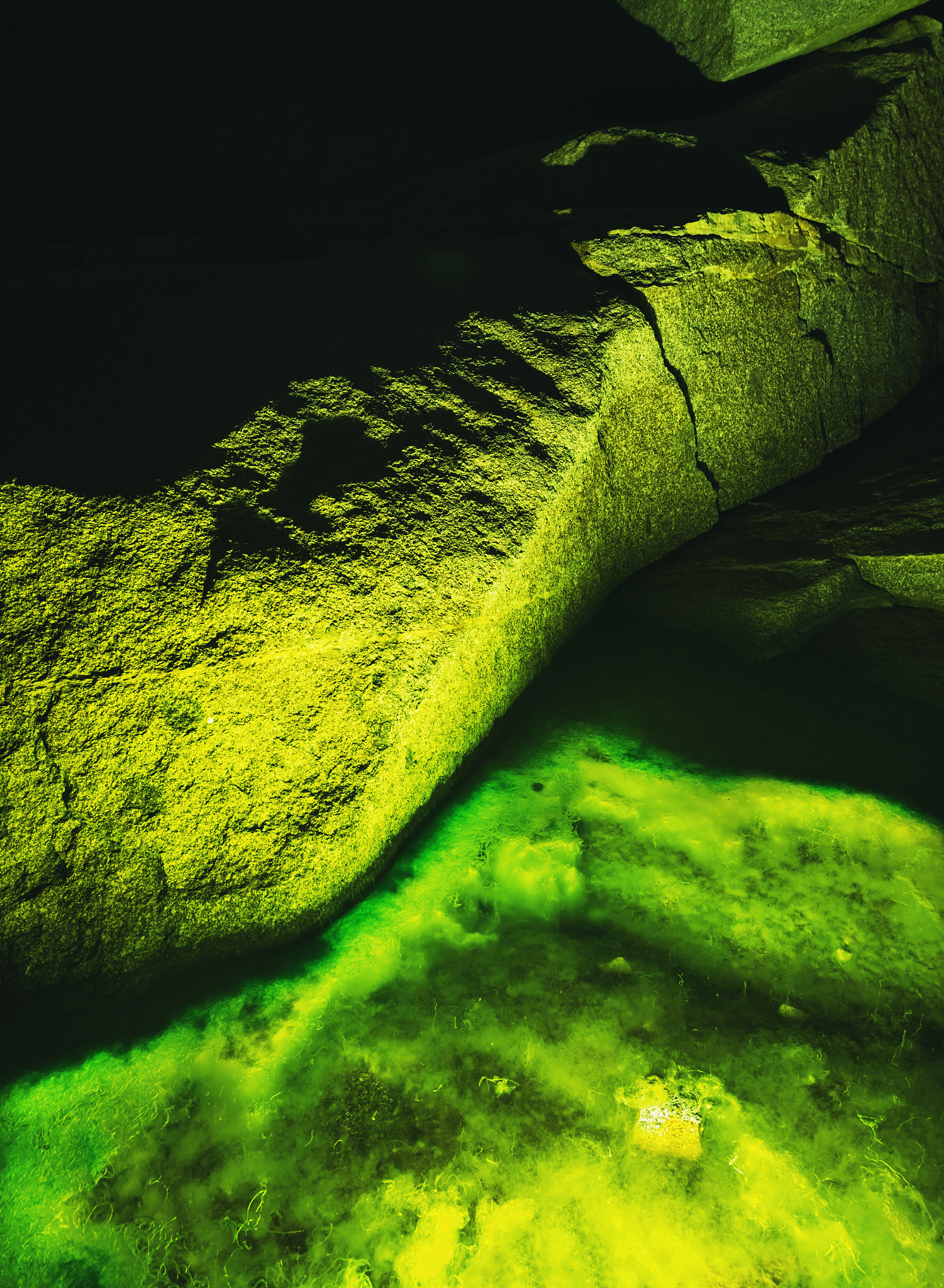 写关于环境保护与水土保持保证体系及措施的一份20页的ppt