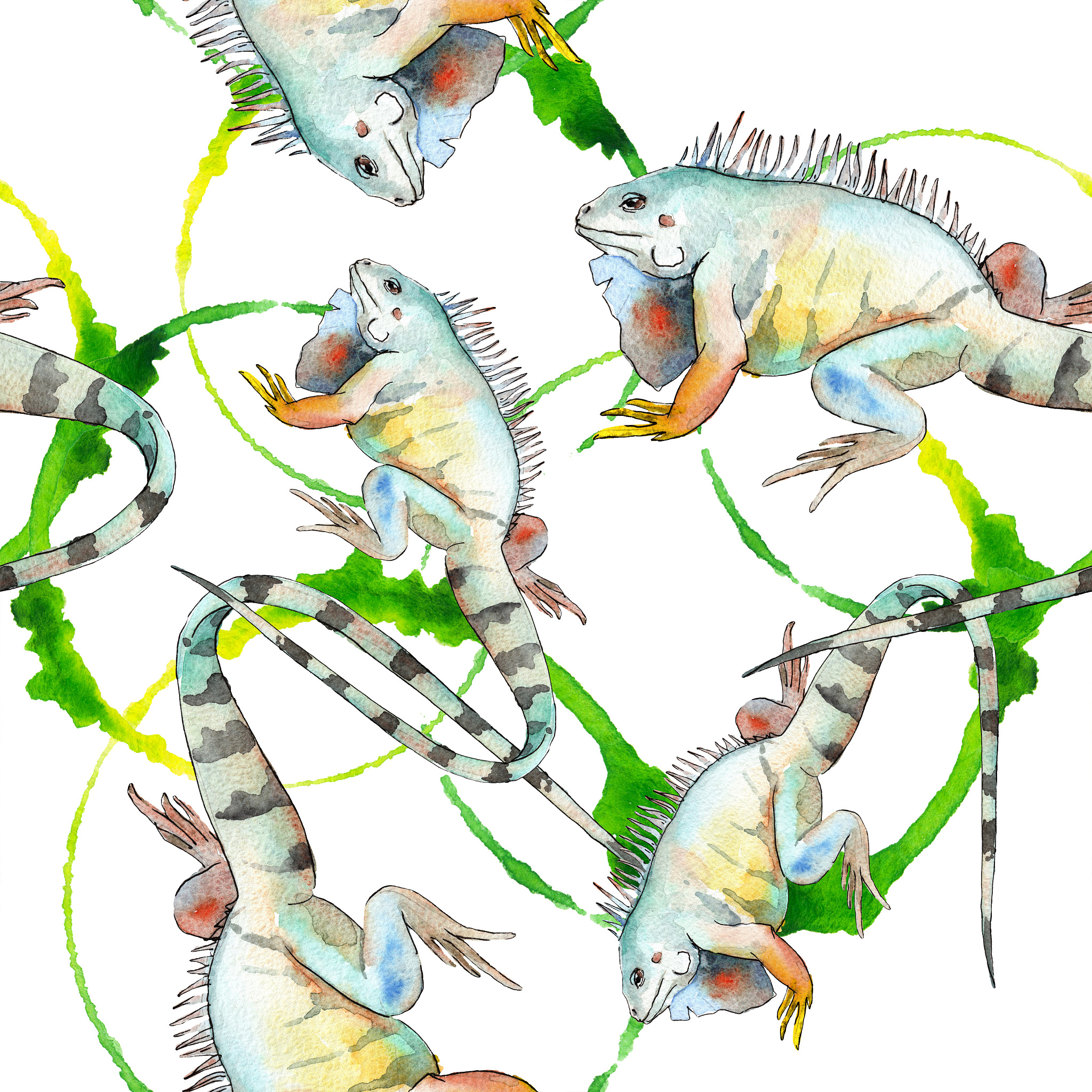 What prey upon snake?