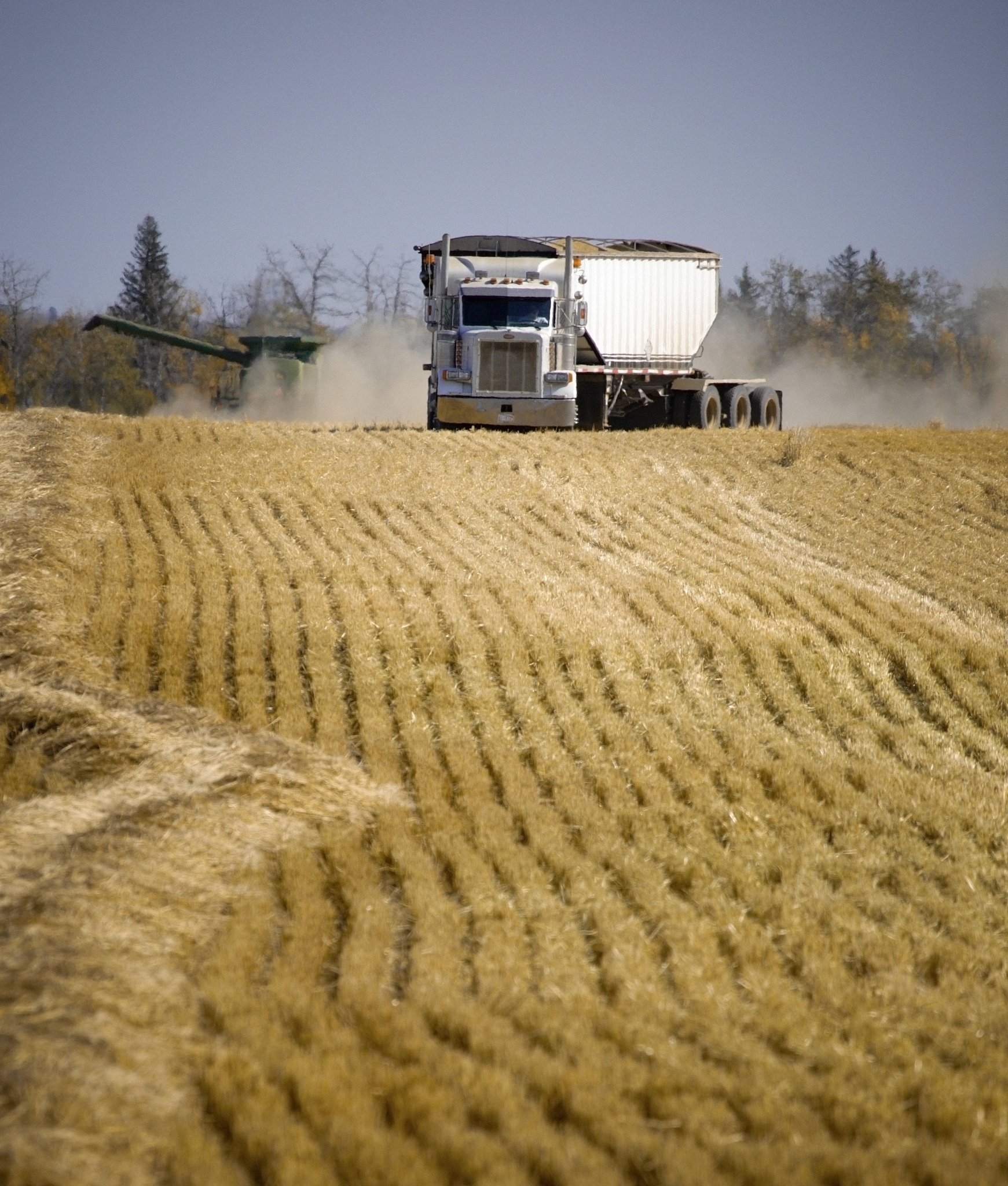黑龙江农垦职业学院农业装备应用技术专业专业都学些什么