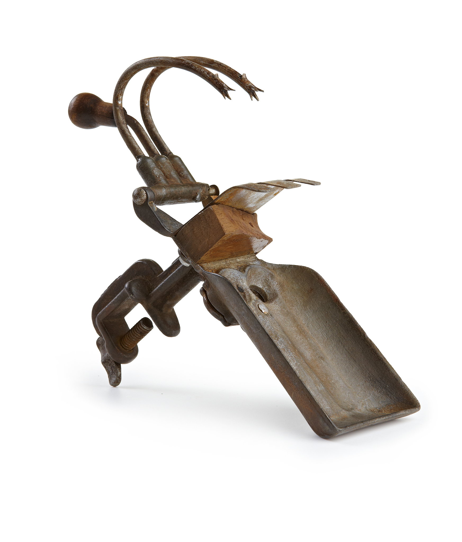 枇杷去核神器：高速旋转分离，尽享美味无忧！