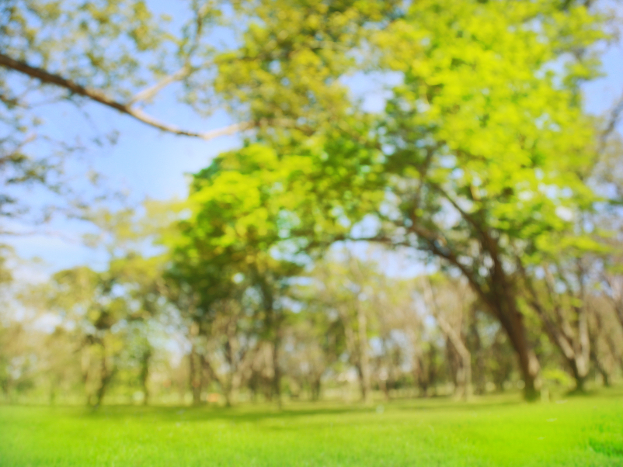 夏季清晨环境描写：500字优美文字，感受美好早晨