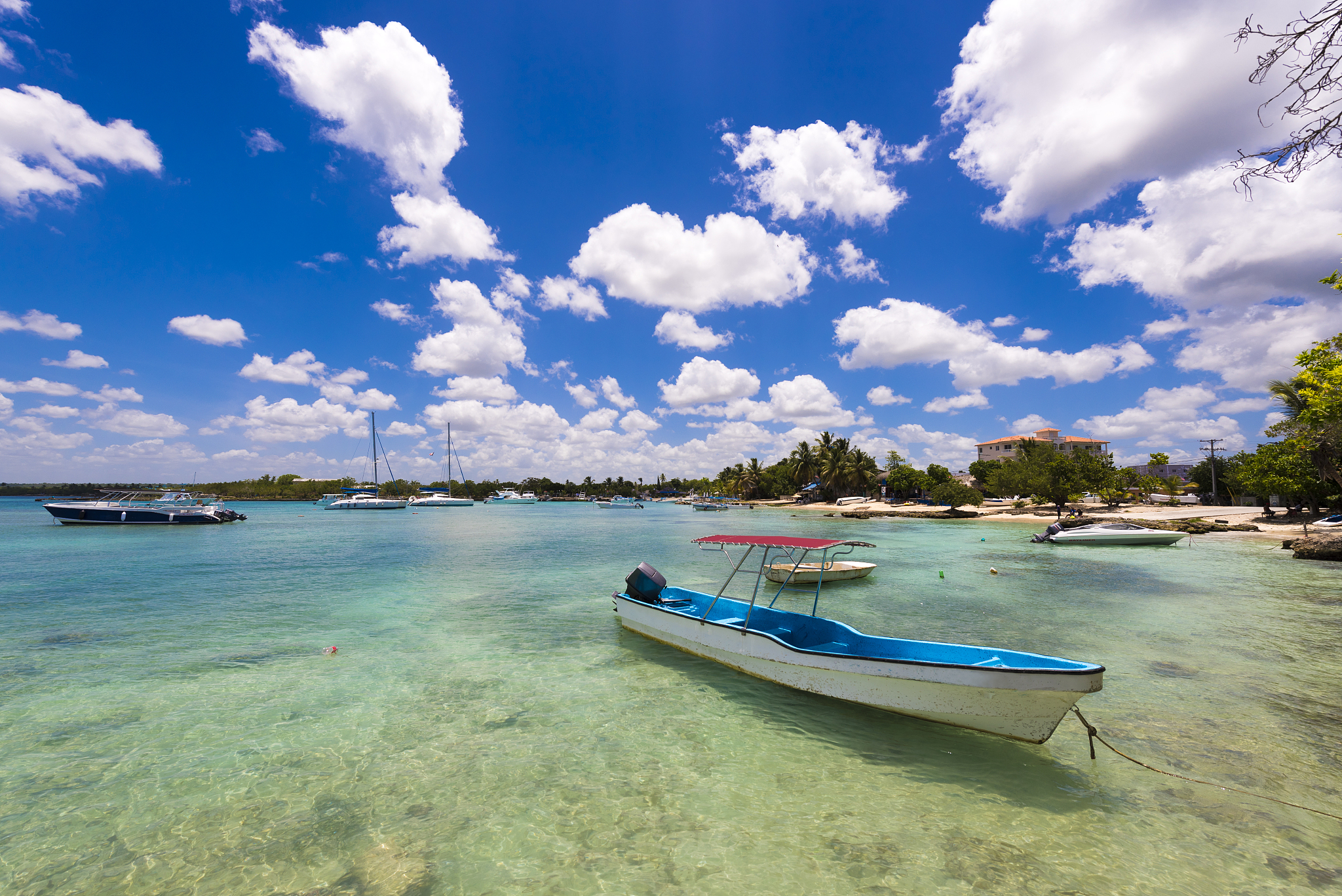 view of the bay in bayahibe