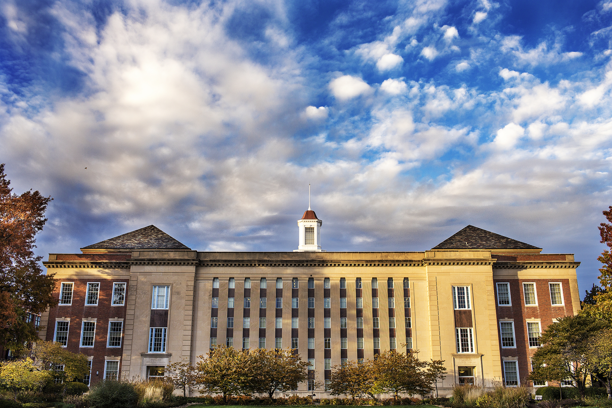 my university