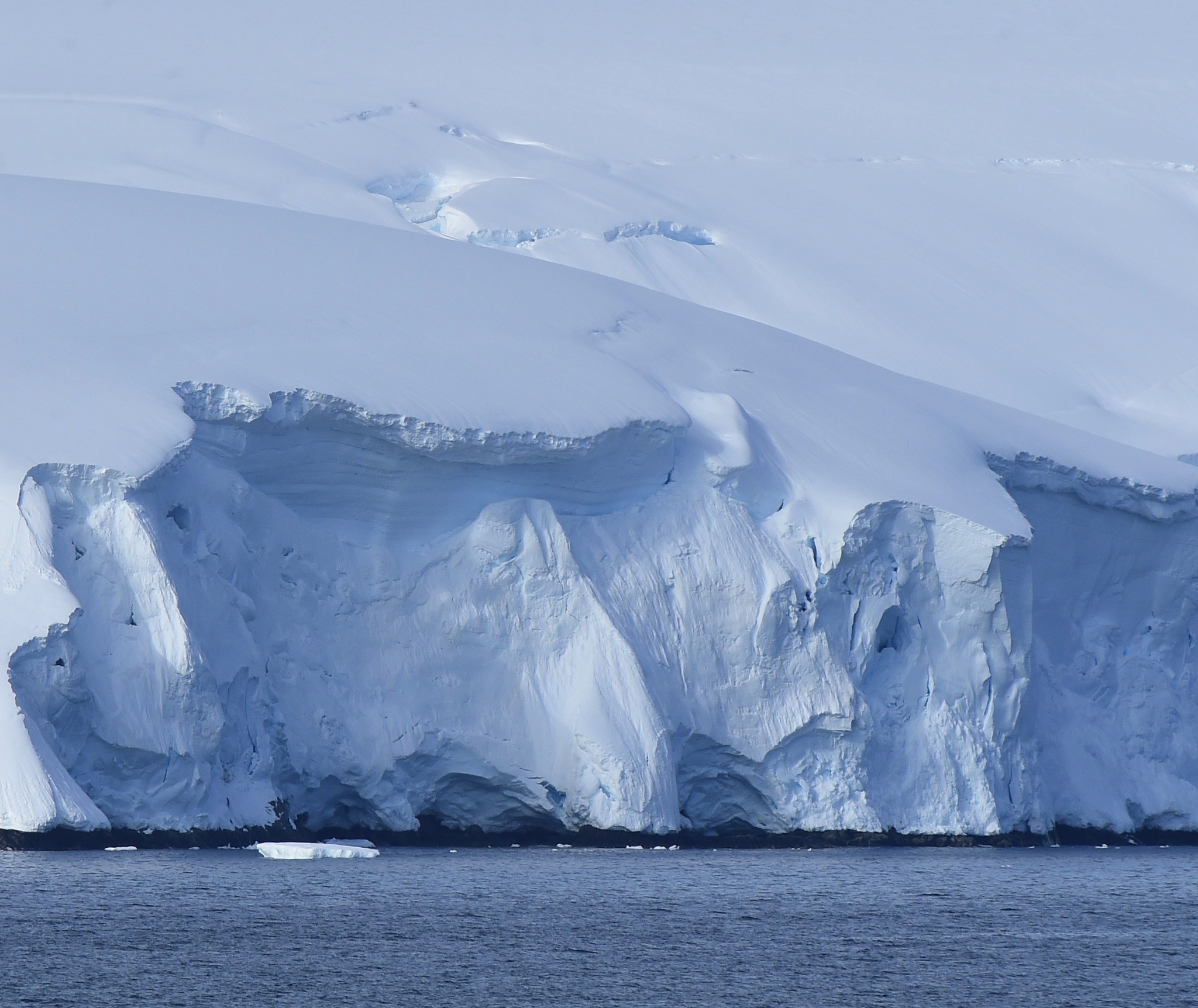 antarctica