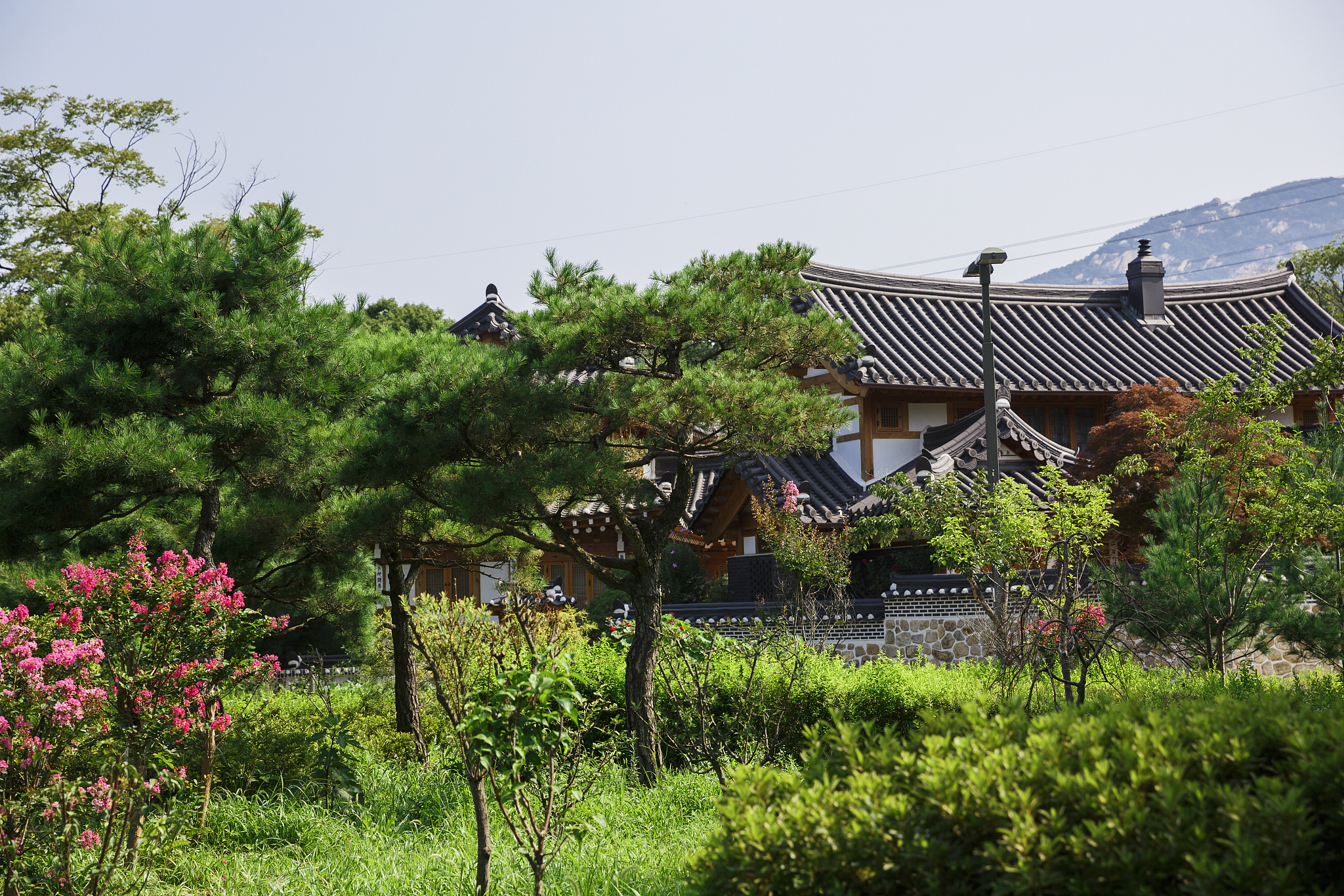 韩国河回村乡村振兴所依赖的条件