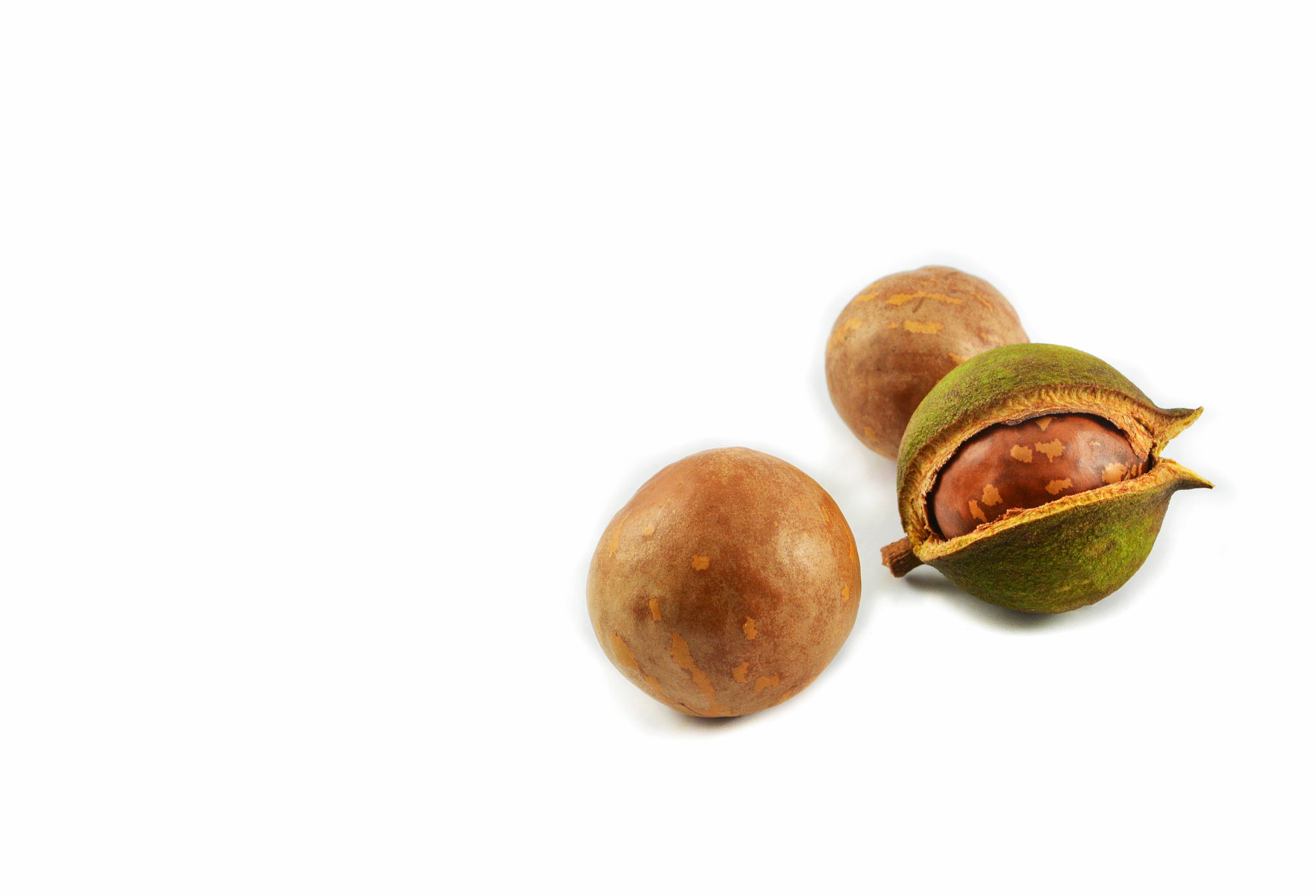 广西澳洲坚果：营养丰富，品质优良，推广方案全面解析