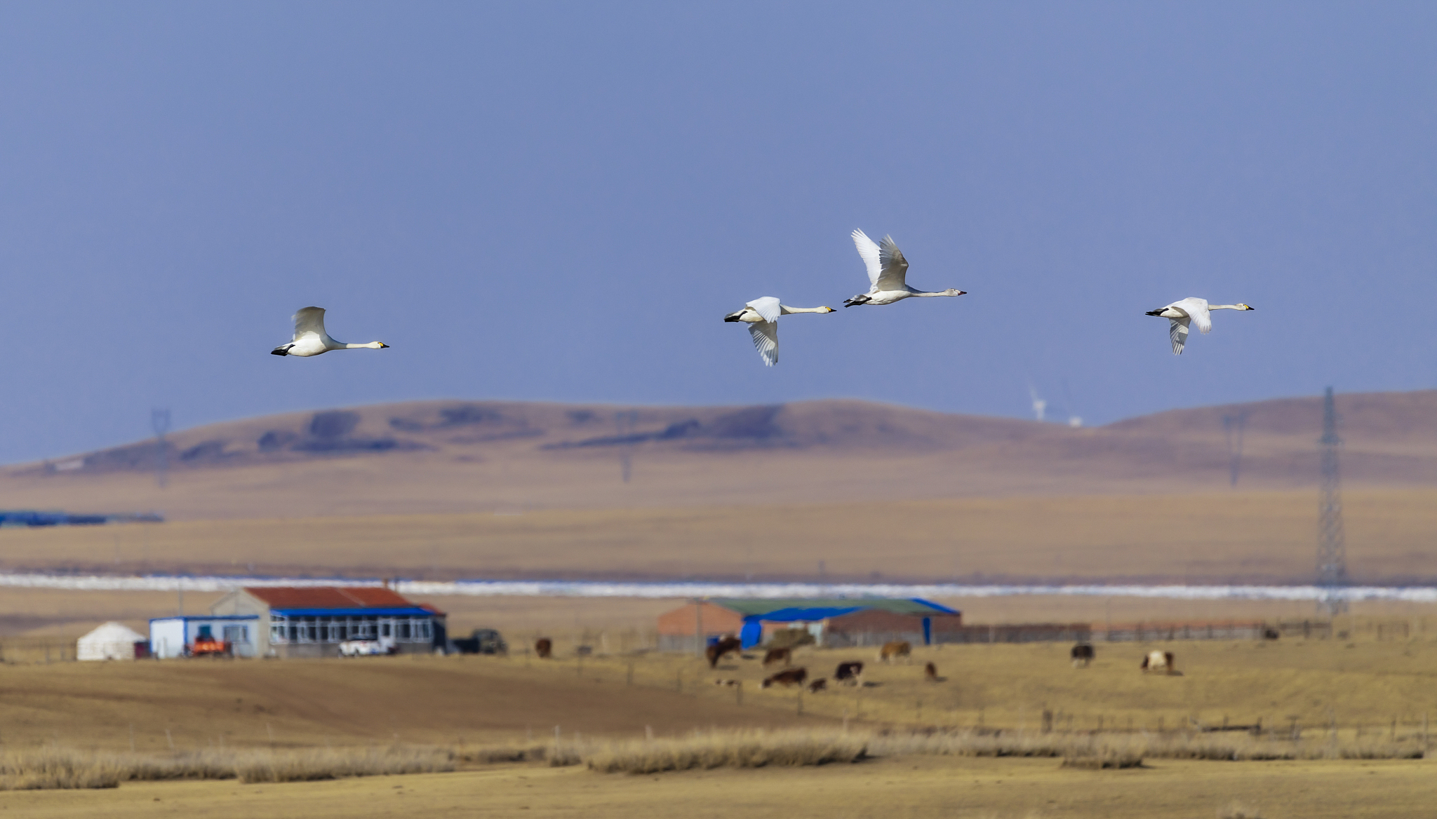 神之塔New World官方版是一款创新性的幻想rpg游戏玩家扮演一位拥有神之血脉的主人公需要穿越不同的时空、与各种神明、魔族和英雄角斗并保护自己的家园。游戏采用时空交错的设定每个关卡都是一个完整的时空玩家需要收集时空钥匙解锁更多的时空。续写这段话