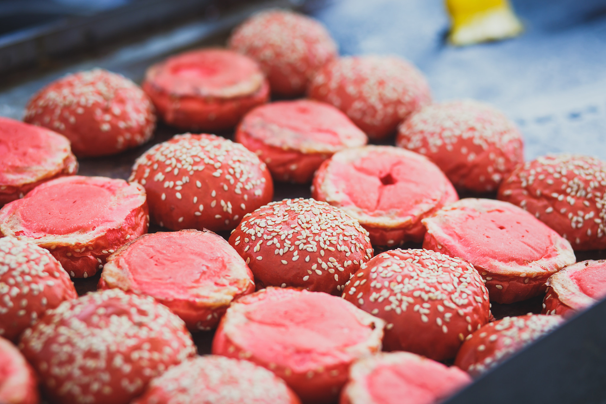 热衷模型、游戏和音乐的爱好者：自我介绍