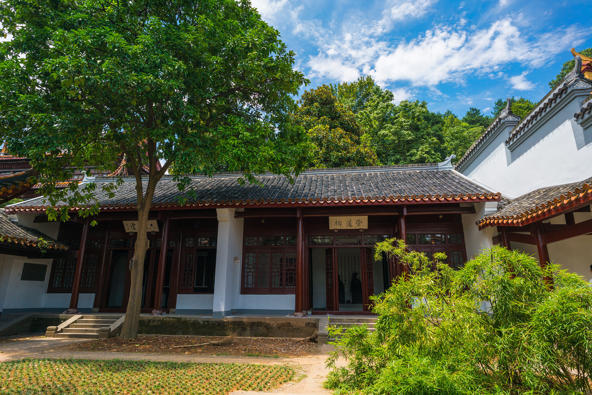 如何赏析暮春归故山草堂