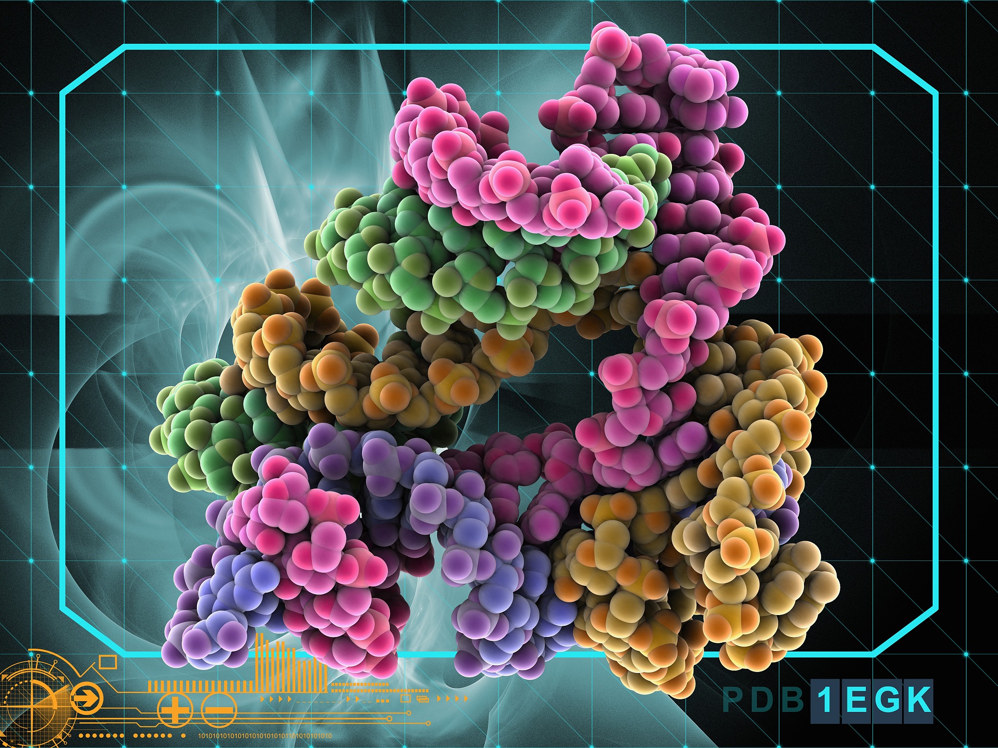 顺式作用元件：基因表达的调节开关