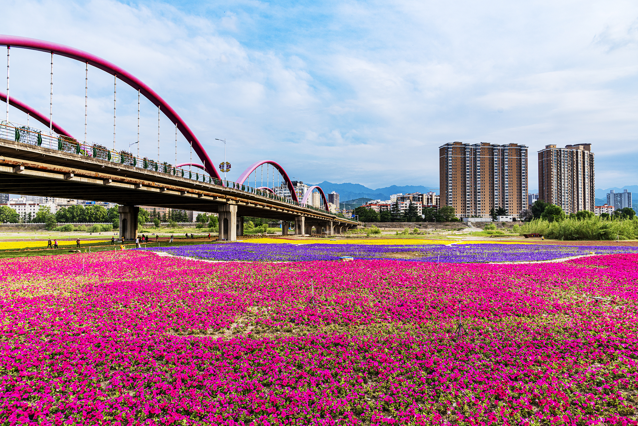 商洛莲湖公园：风景如画，休闲娱乐的理想去处