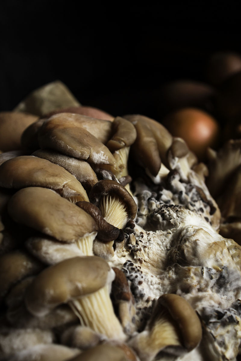 回答我几个问题：锌是什么、缺锌有什么影响？锌如何补充？什么食物含有锌？