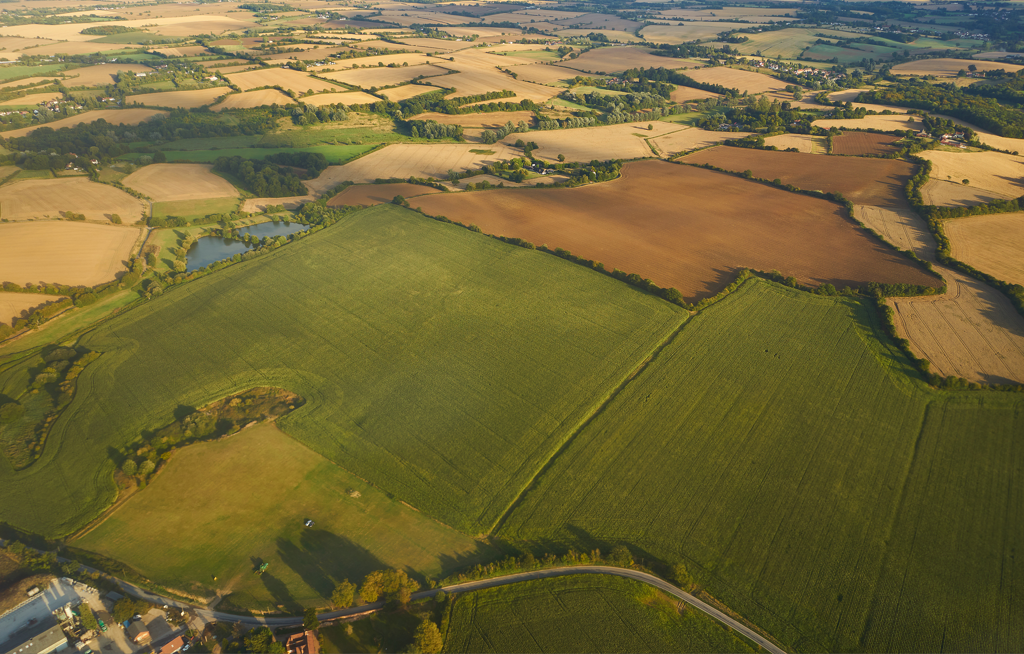 aerial landscape of yellow and green field from the window of an