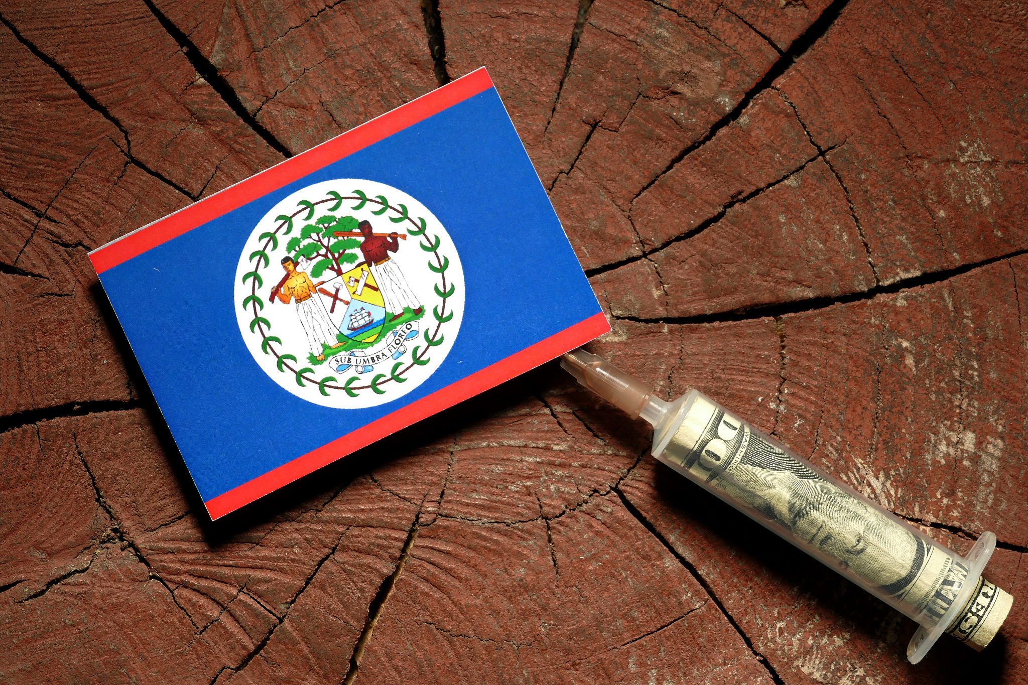 belize flag on a stump with syringe injecting money in flag