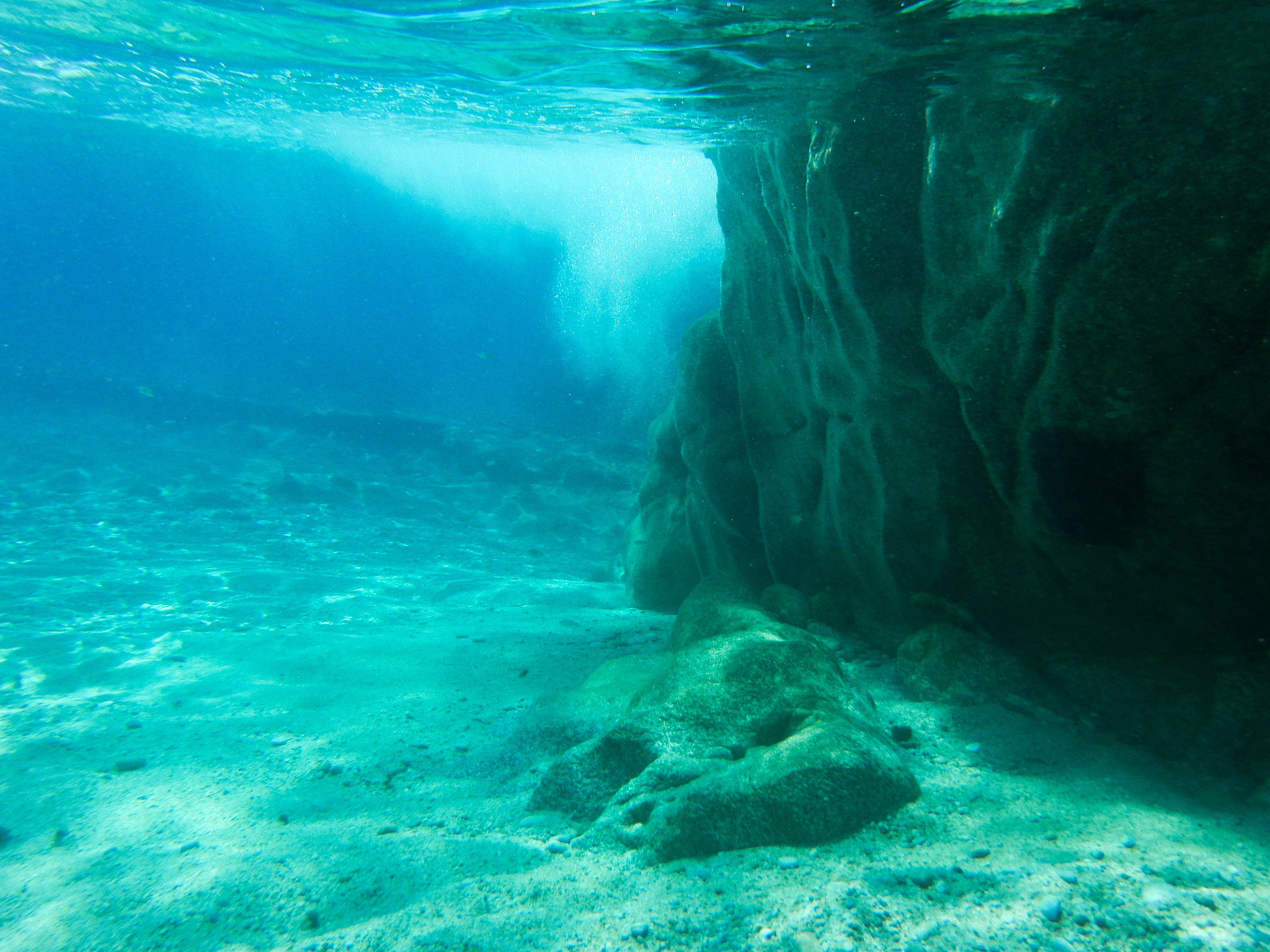 underwater landscape