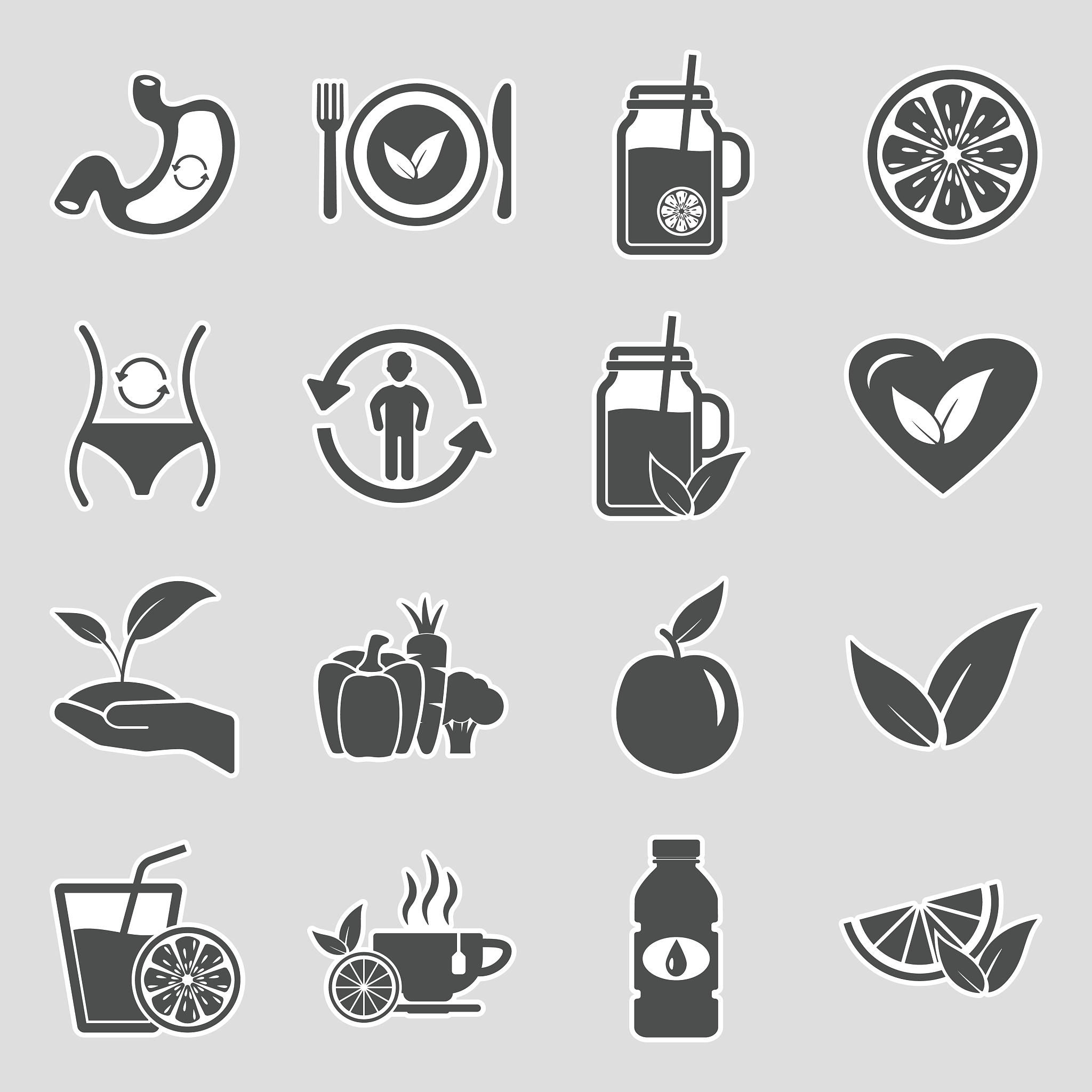 植物代谢速率与体积、质量、表面积的关系：植物代谢率标度