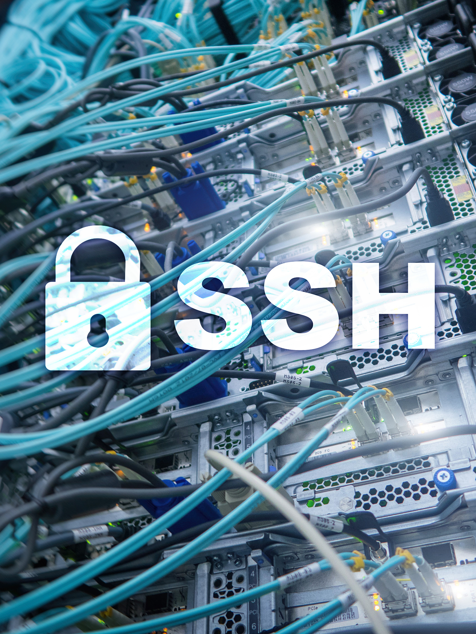 网络协议有哪些？地址ip、域名、路由、dns之间是怎么协作的