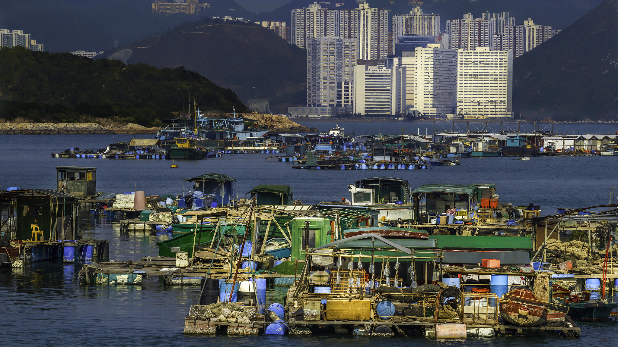hk lifestyles
