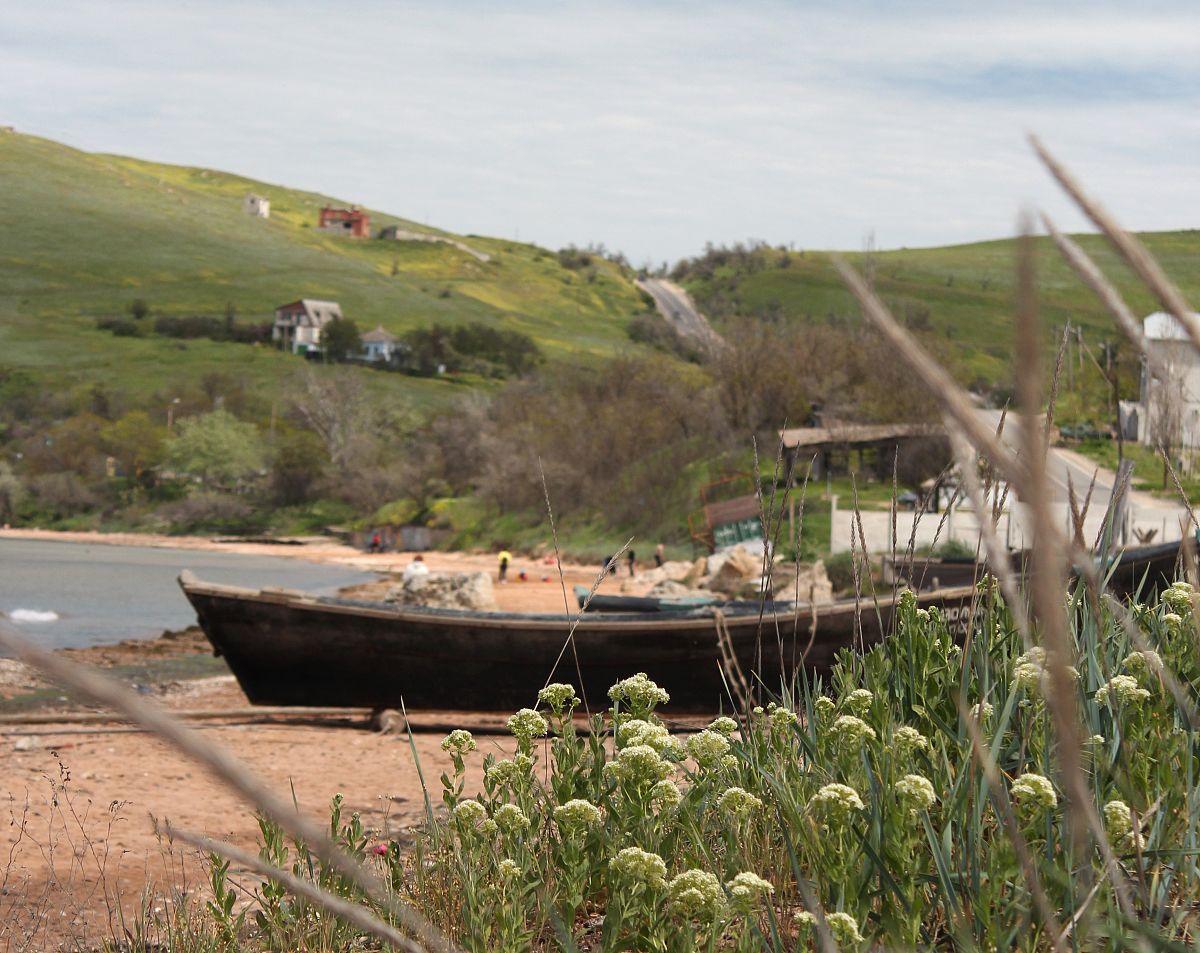 自由与亲情的矛盾之河：罗萨《河的第三条岸》深度解读