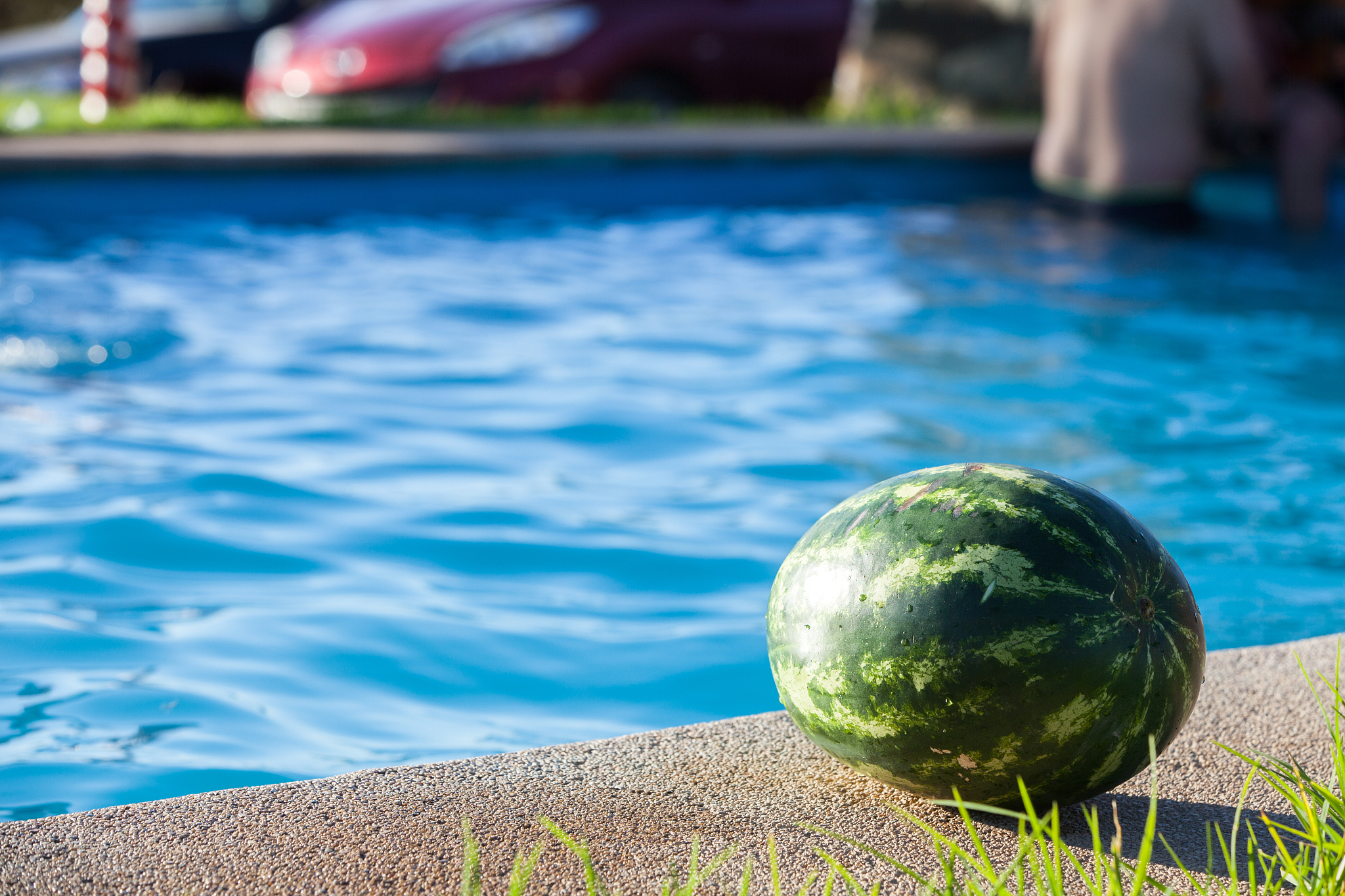 watermelon in a pool