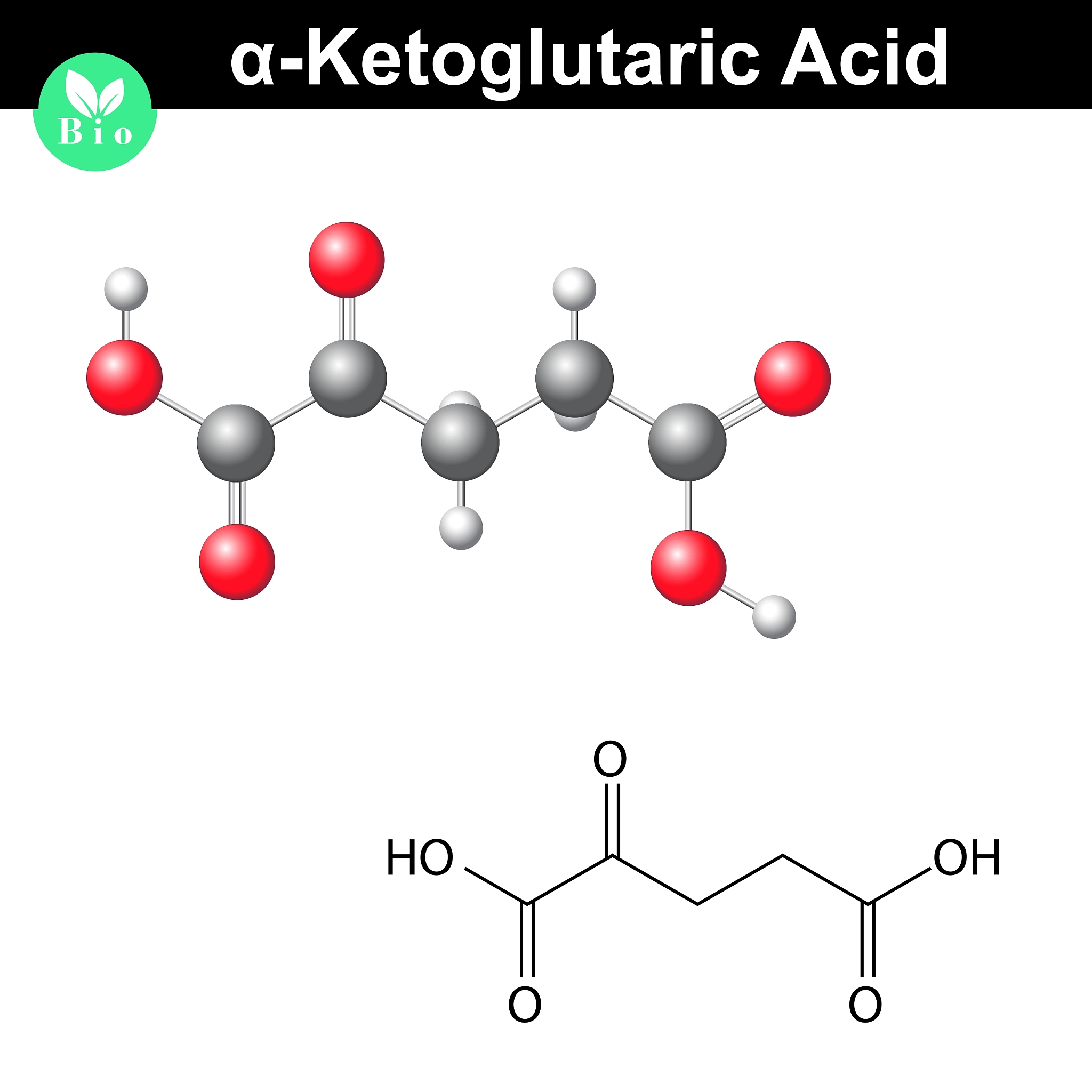 ketoglutaric acid molecule