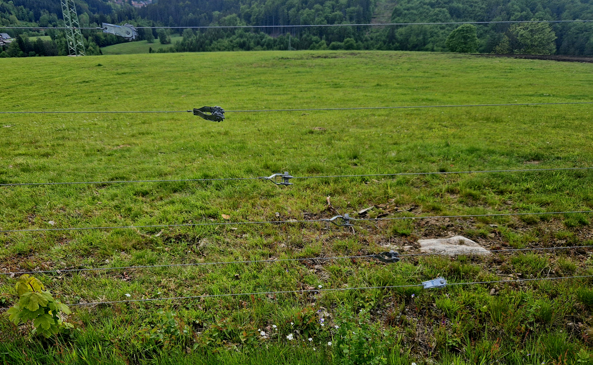 人工草地：解决天然草地问题的有效方案