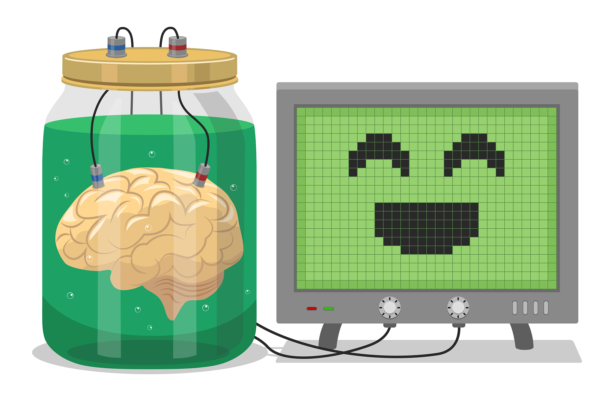 brain jar