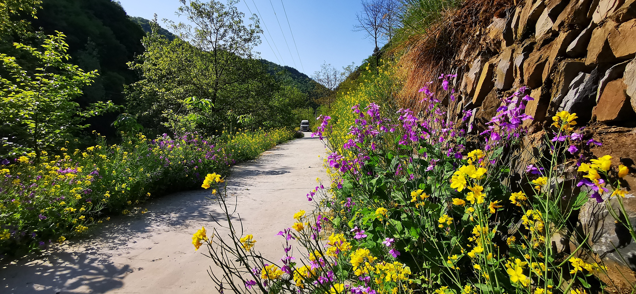 春日登山，瀑布花香，美景与好友同行