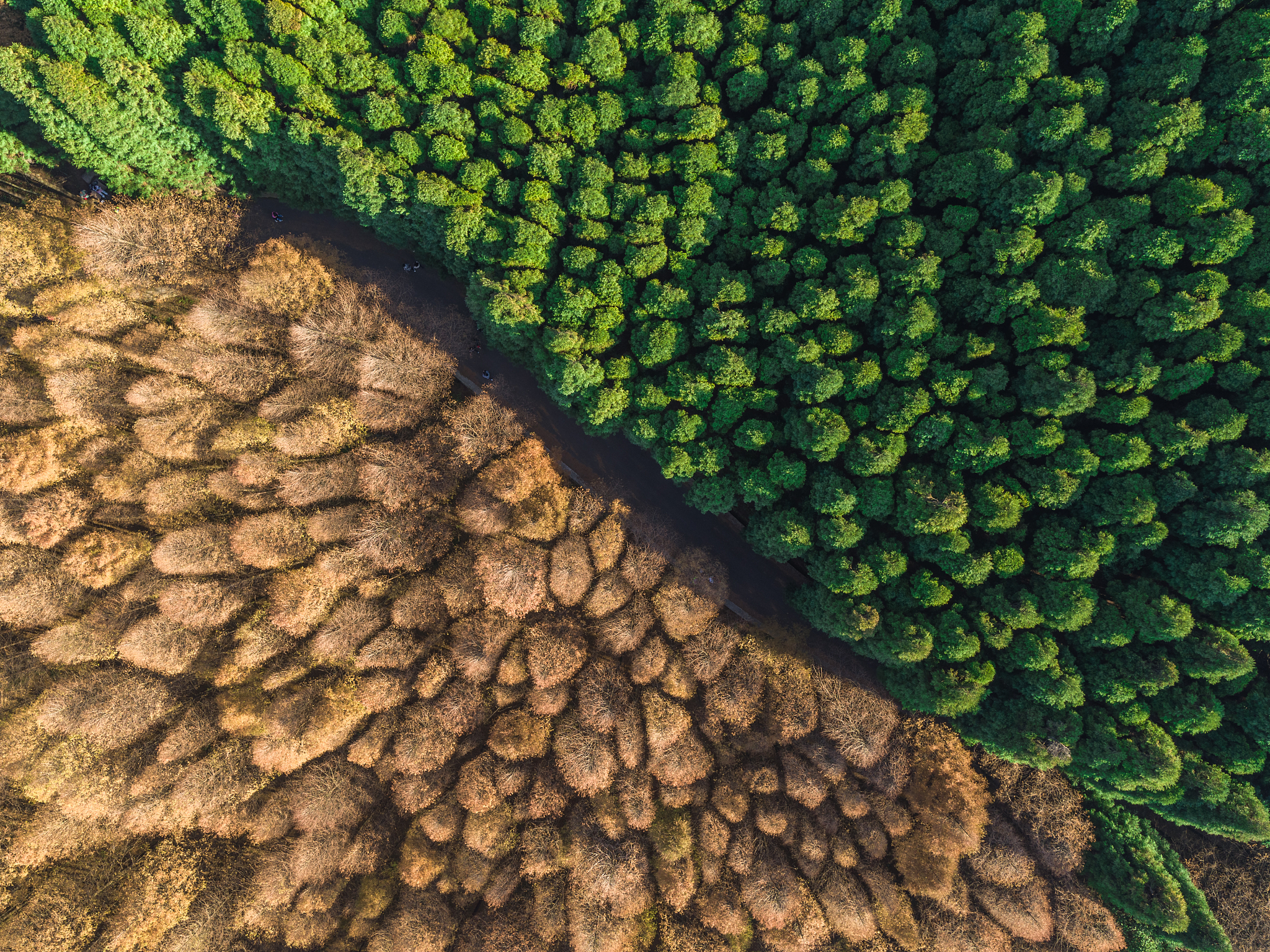 重庆幼师学校招男生吗？男生报考重庆幼儿师范学校的优势与就业前景