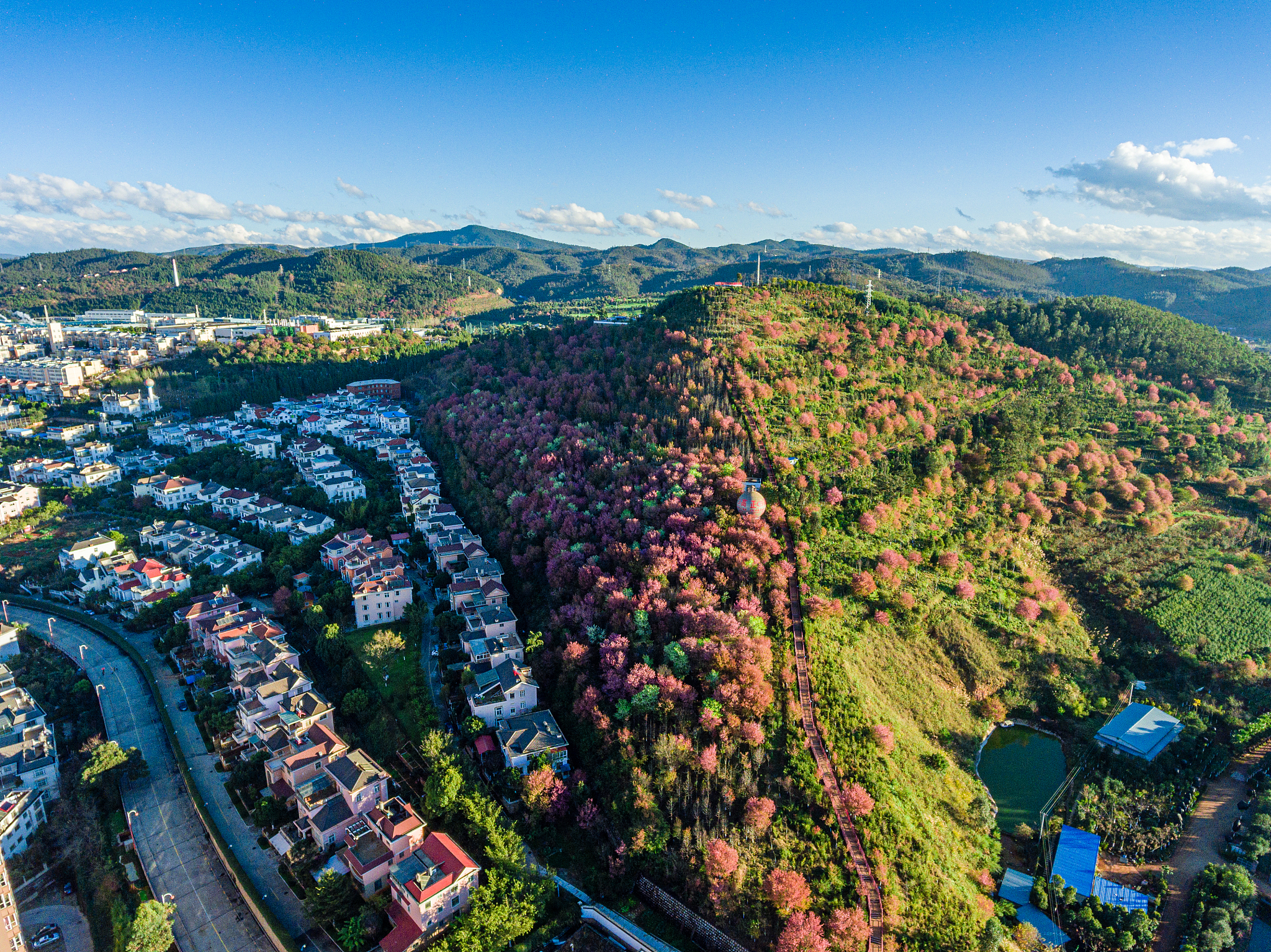 云南省玉溪卫生学校地址用发散