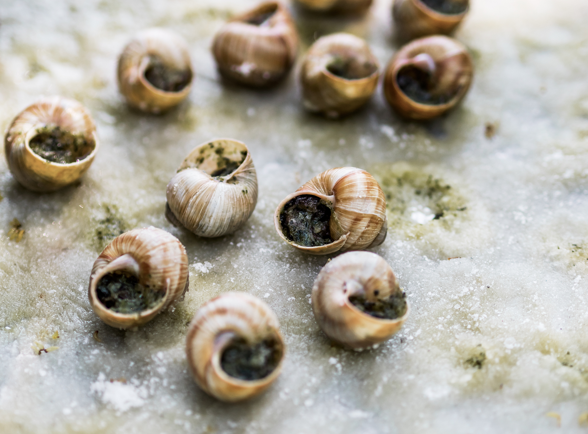 田螺是什么帮我用200字详细描述