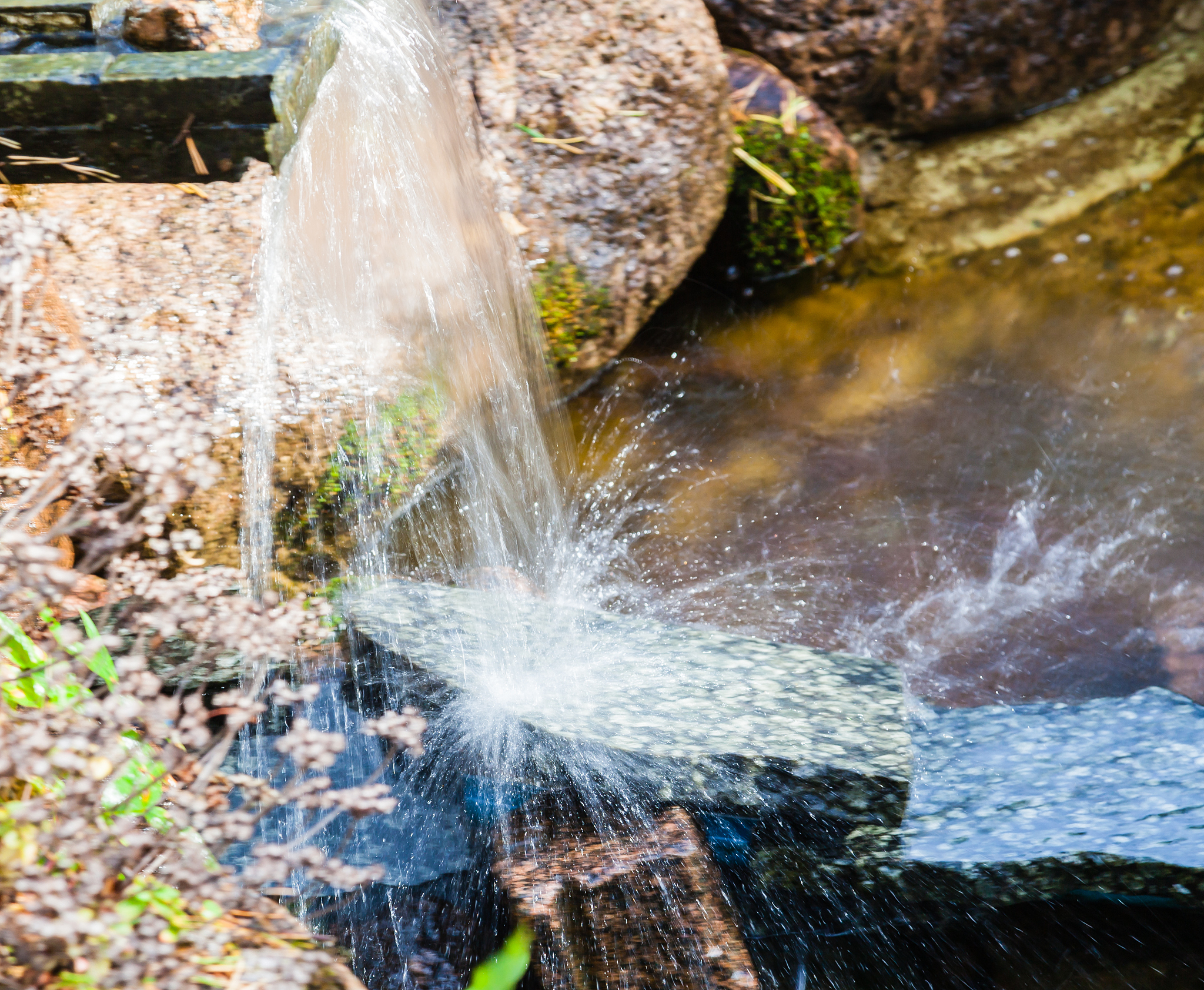 露遥冰泉名字好不寓意