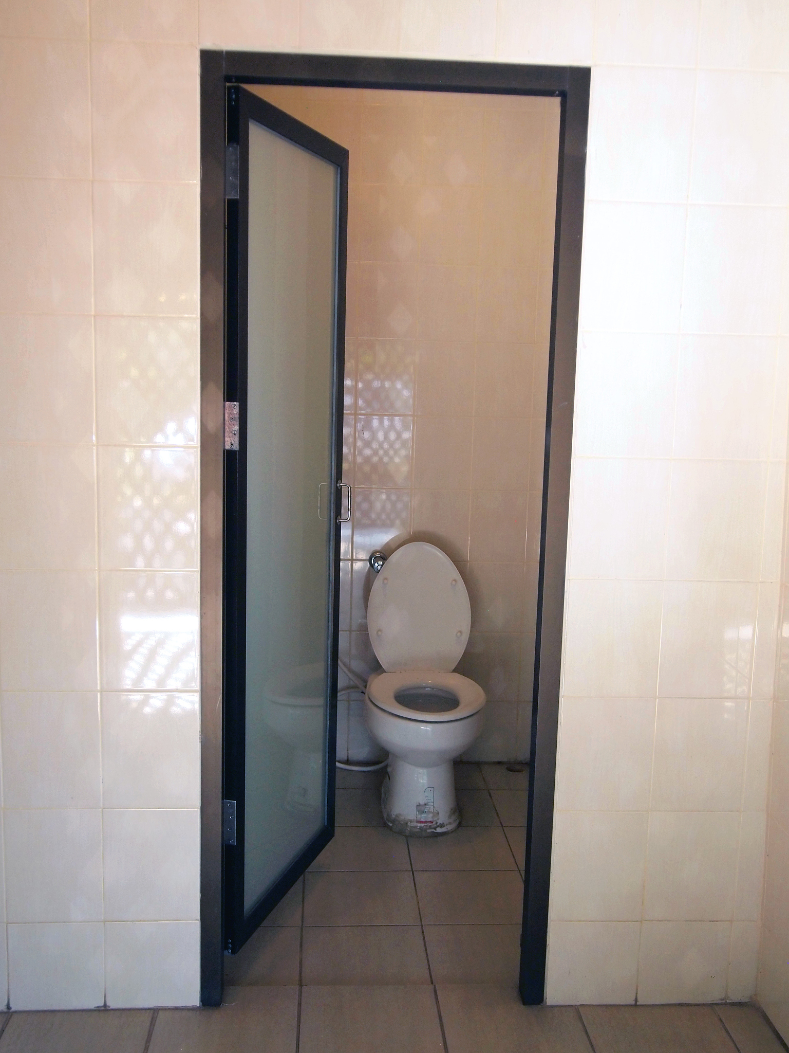 home flush toilet
