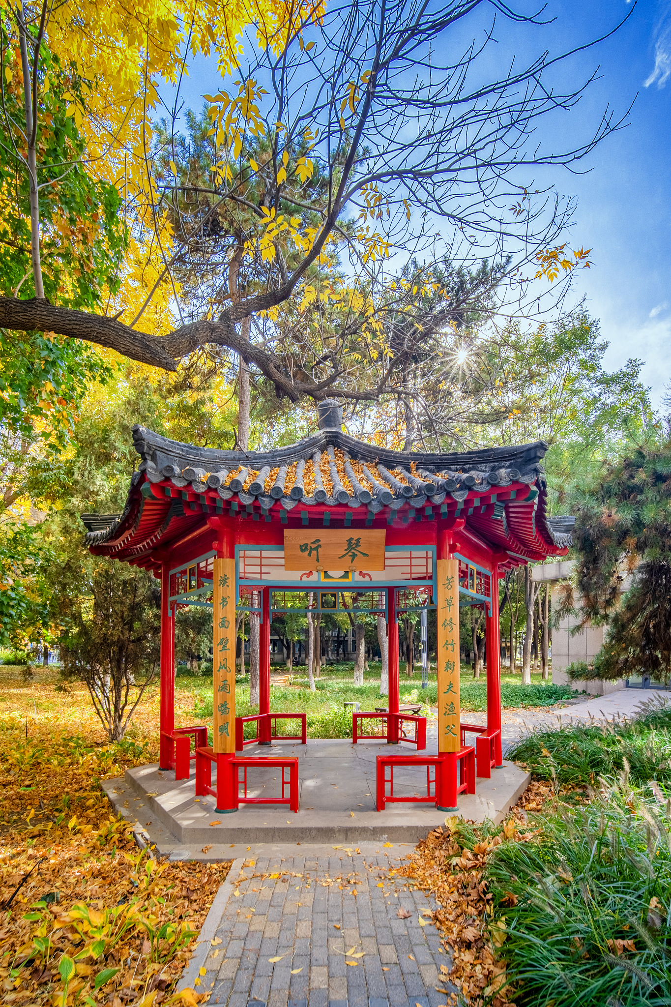 中国传媒大学影视摄影与制作专业怎么样？就业前景分析及未来发展方向