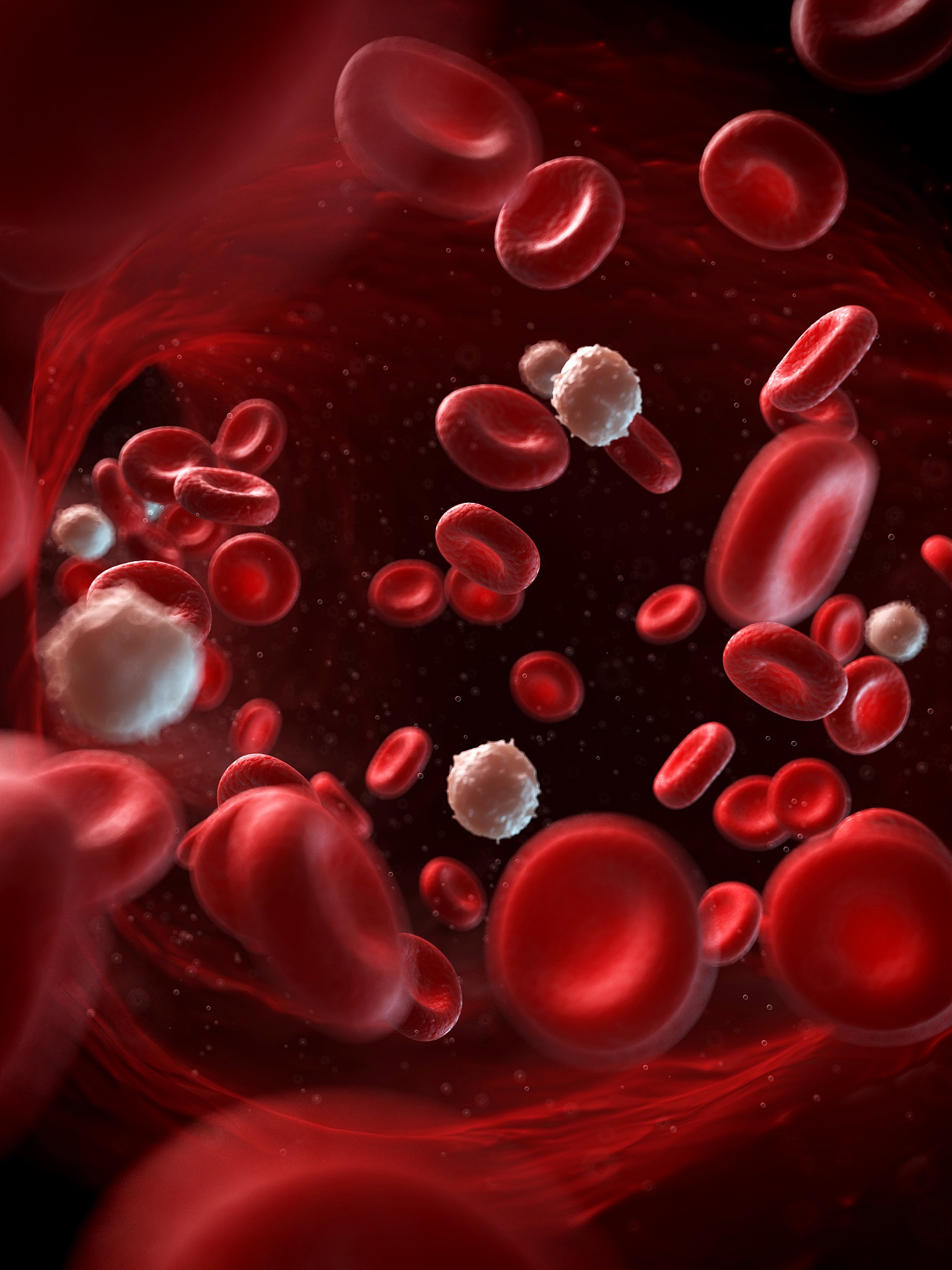 血液的组成和功能：红细胞、白细胞、血小板和血浆