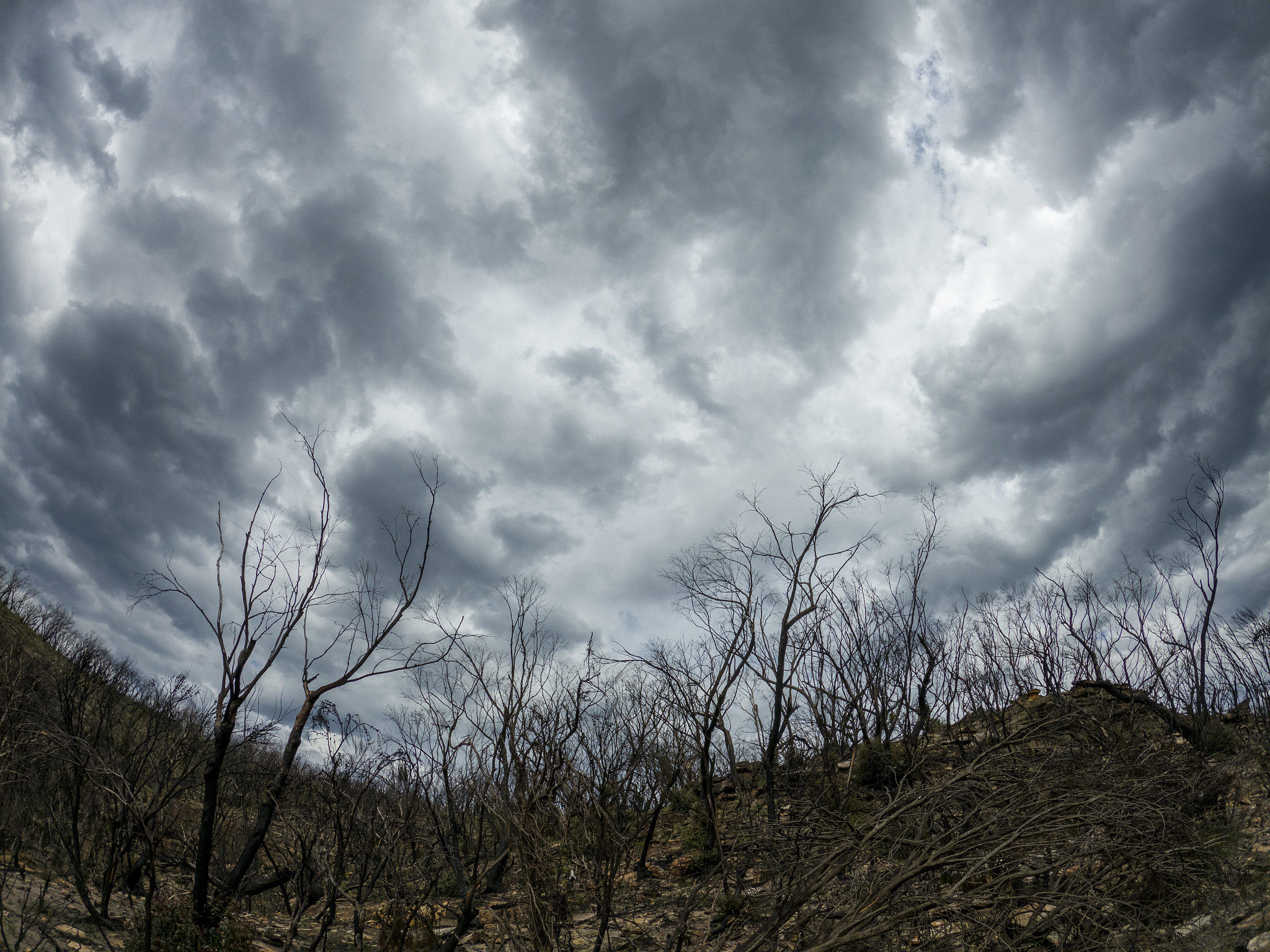狂风怒吼，我如纸片般飘零！