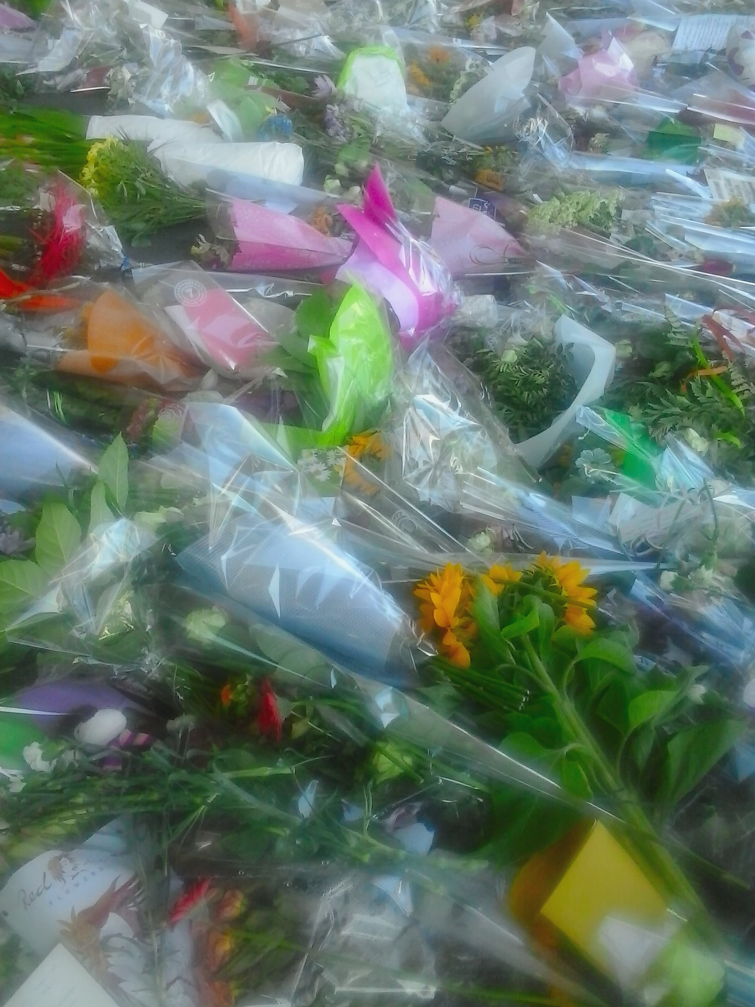 安徽访谈类节目名称创意：10个谐音好名字