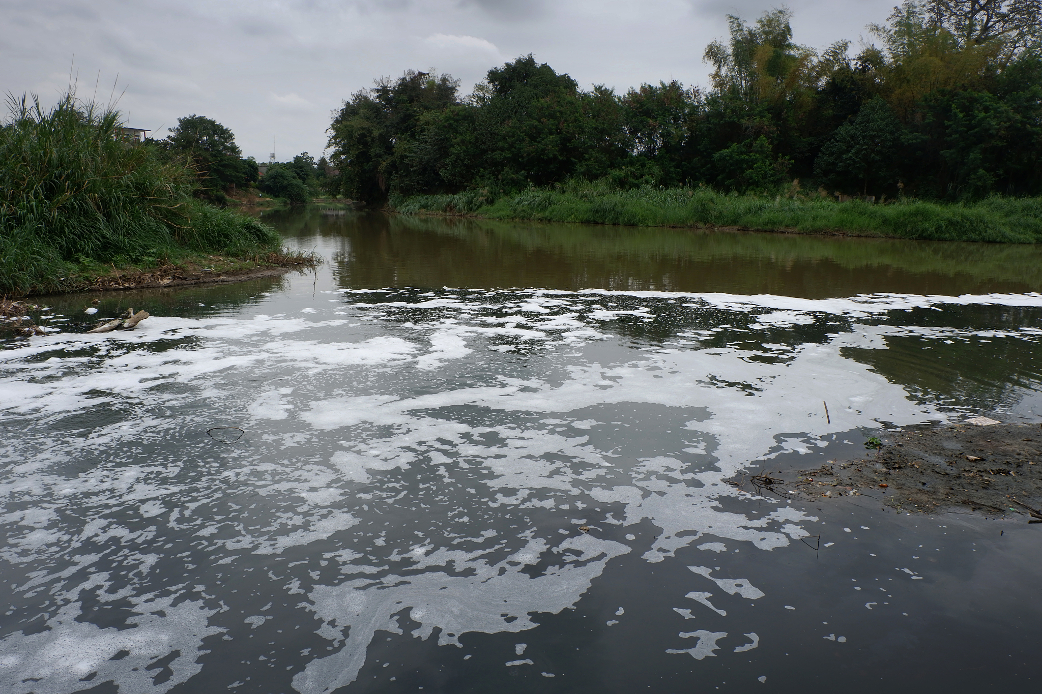 translate Chinese into English 变化环境下东江流域蓝绿水资源演变规律及驱动机制研究