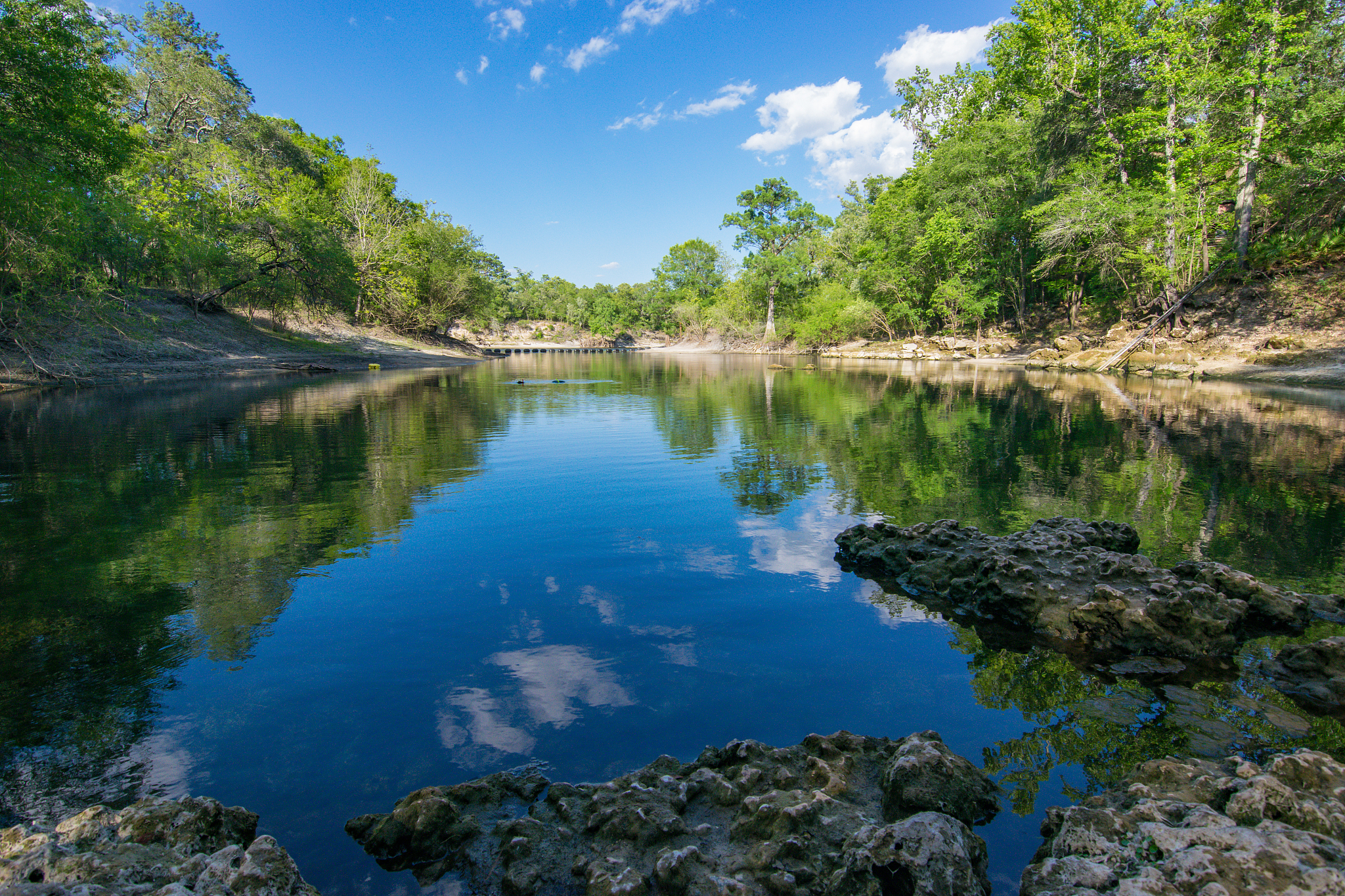 spring water reflected on the suwannee river