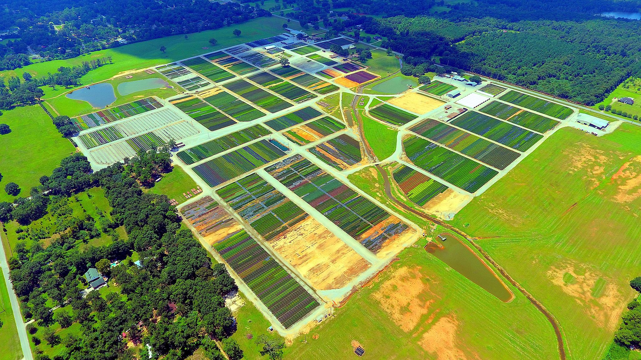 英山村：循环农业助力乡村振兴，牧原集团、绿途公司携手共建美好未来