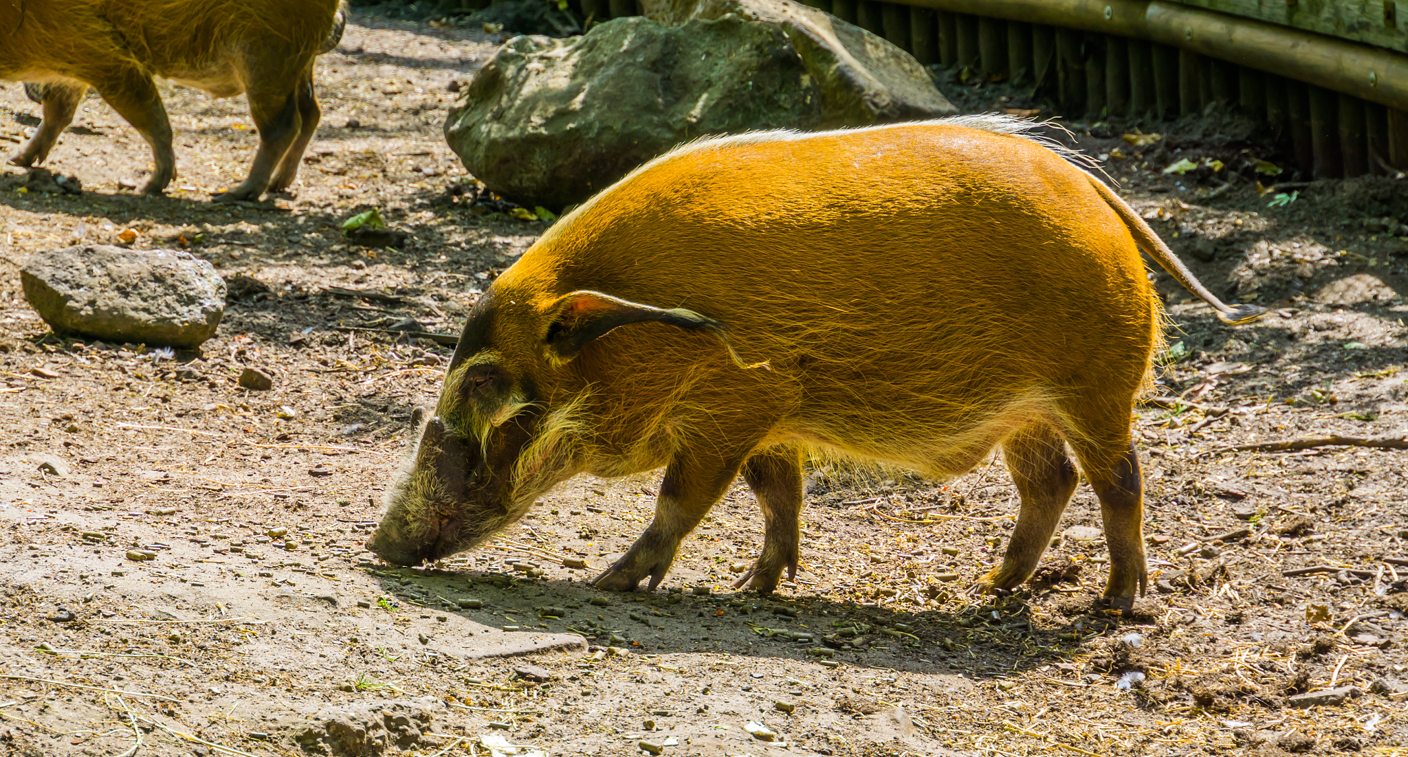 static void avic_getBlockHogAvicPoint pt AvicVector m_integrals AvicMat hist	if ptx - avic_R 0 pty - avic_R 0 		ptx + avic_R = AvicMatvector_getm_integrals 0-cols pty + avic_R = AvicMatvector_get