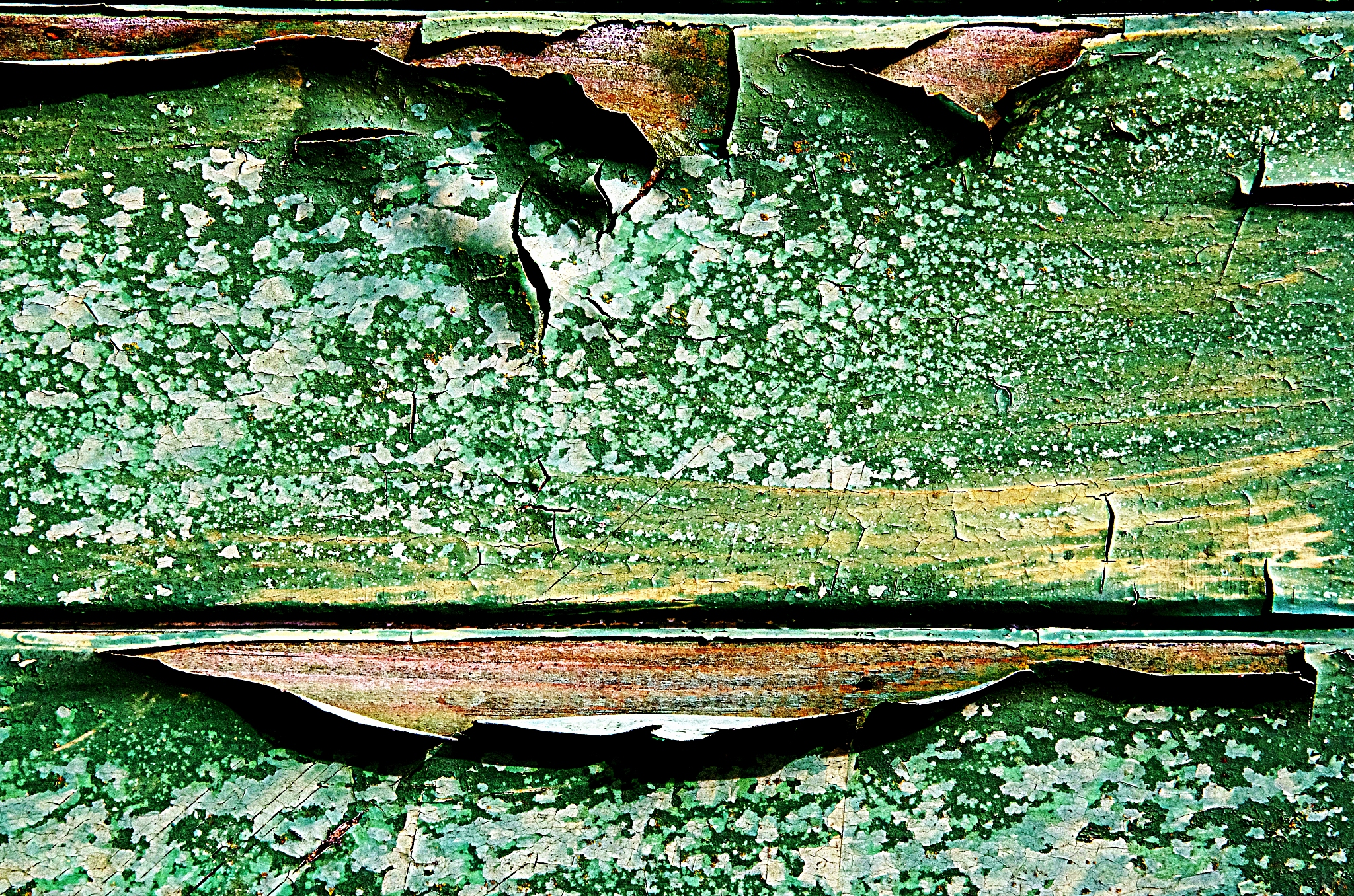 Plant Phenomics 期刊：植物表型研究的国际平台