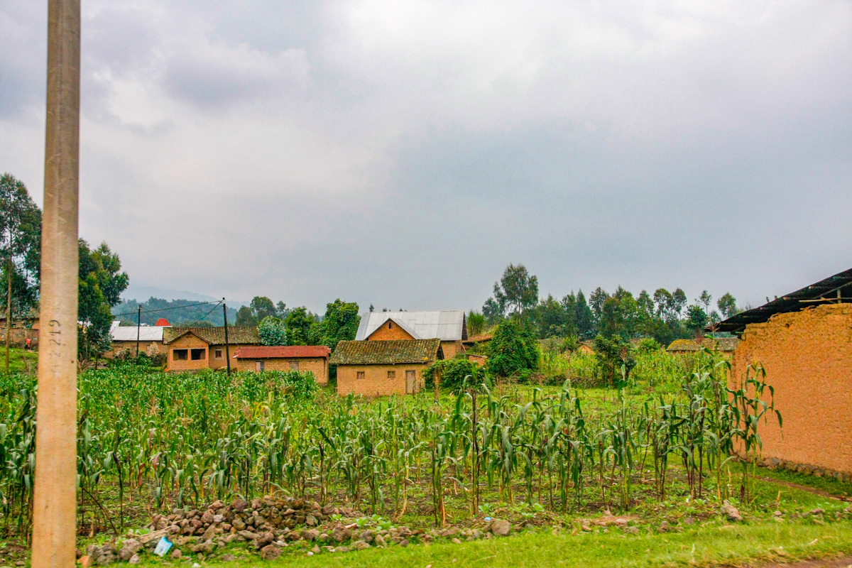 乡间农家生活：朴实而美好