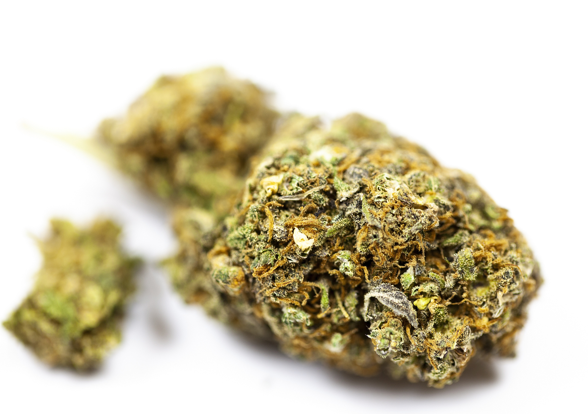 marijuana drug close up