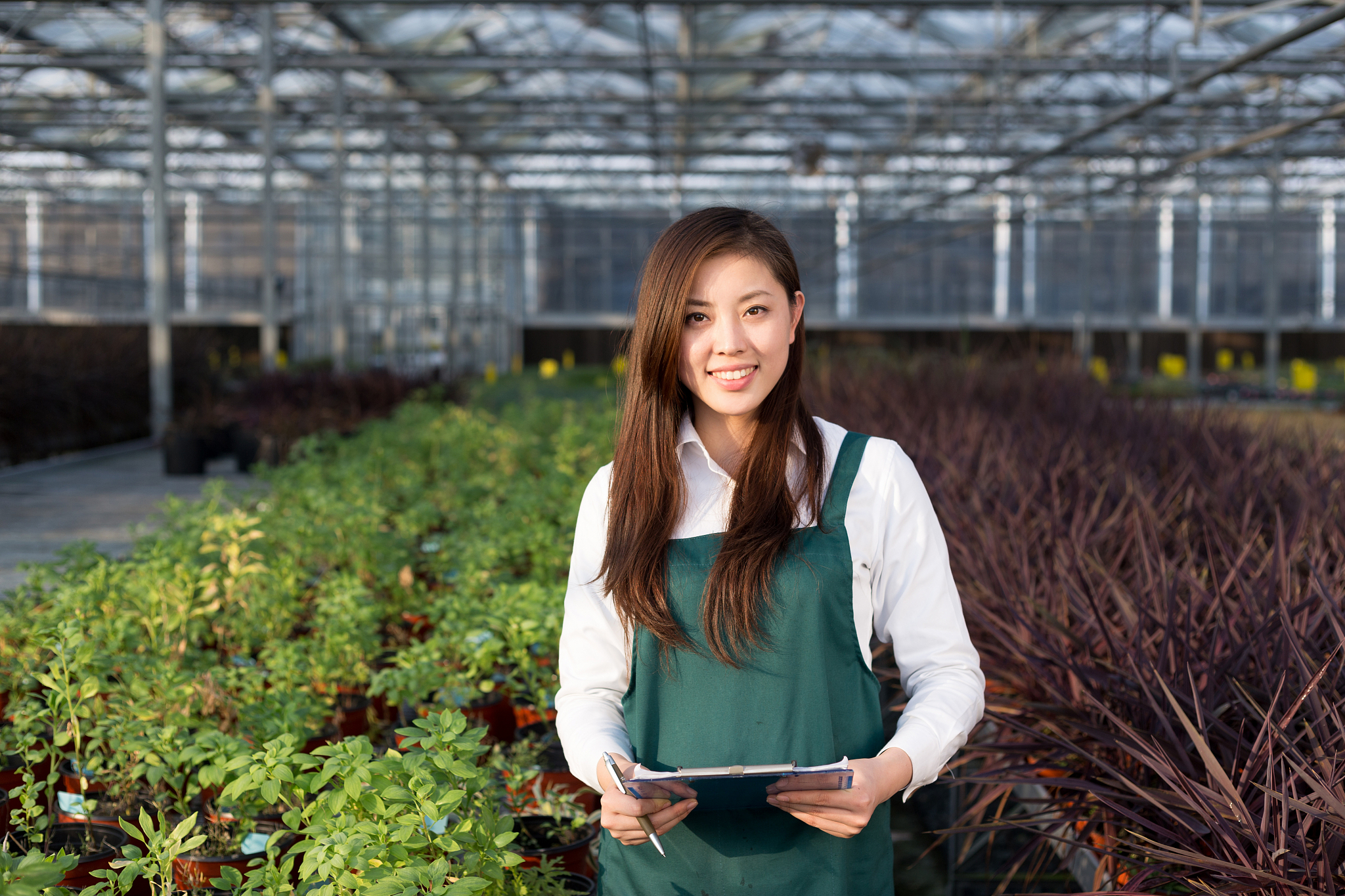 辽宁省农业技术学校农学园艺系专业介绍