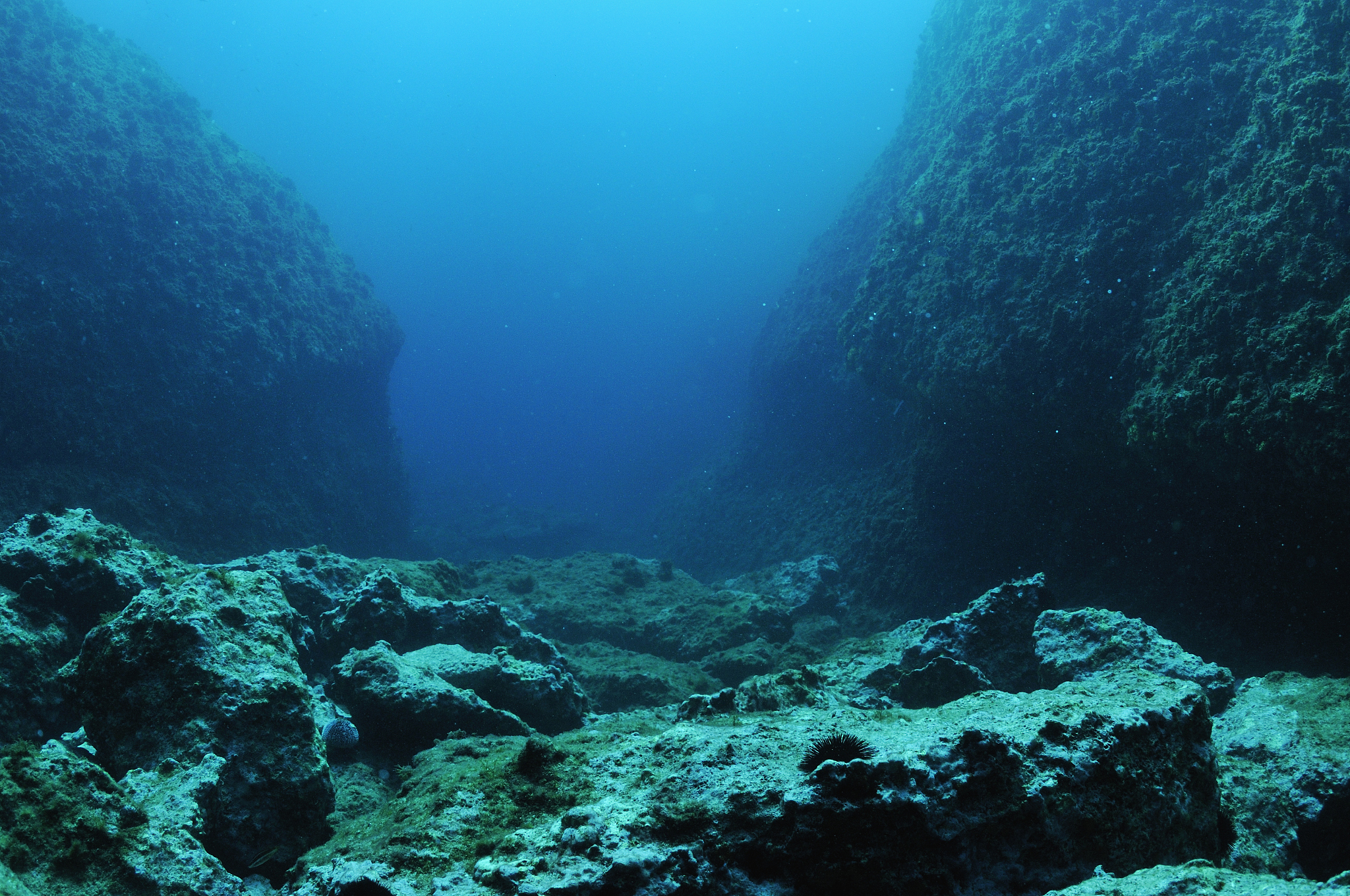 rocks on ocean floor, underwater view, mediterranean sea, riou i