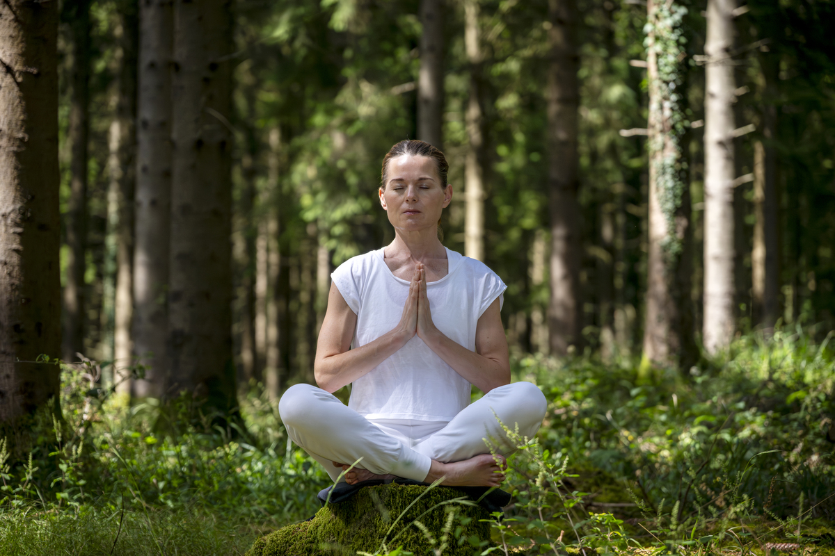 运动过度伤身？长寿的秘诀在于动静结合！