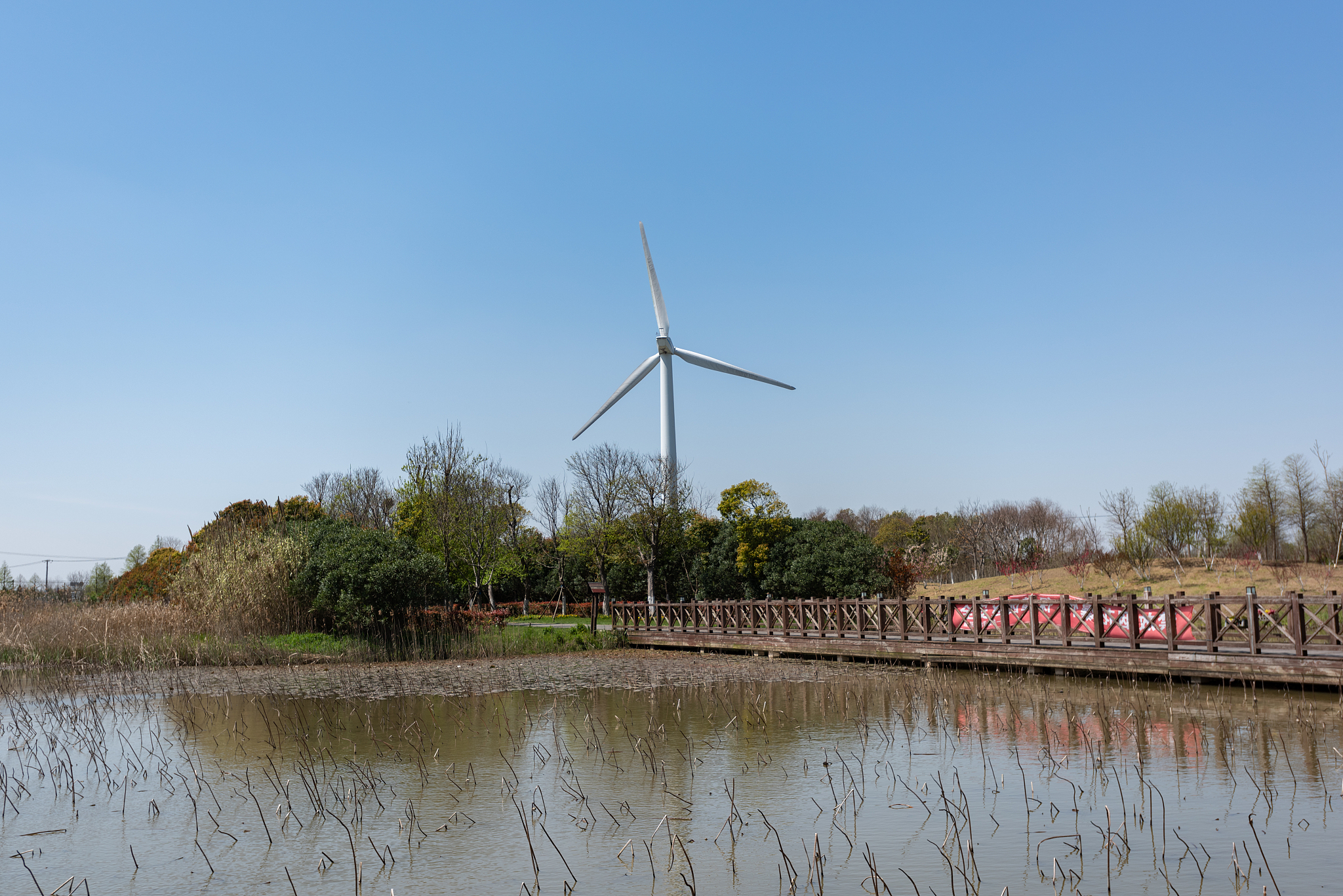 上海崇明岛旅游攻略：交通、景点、美食、住宿全攻略