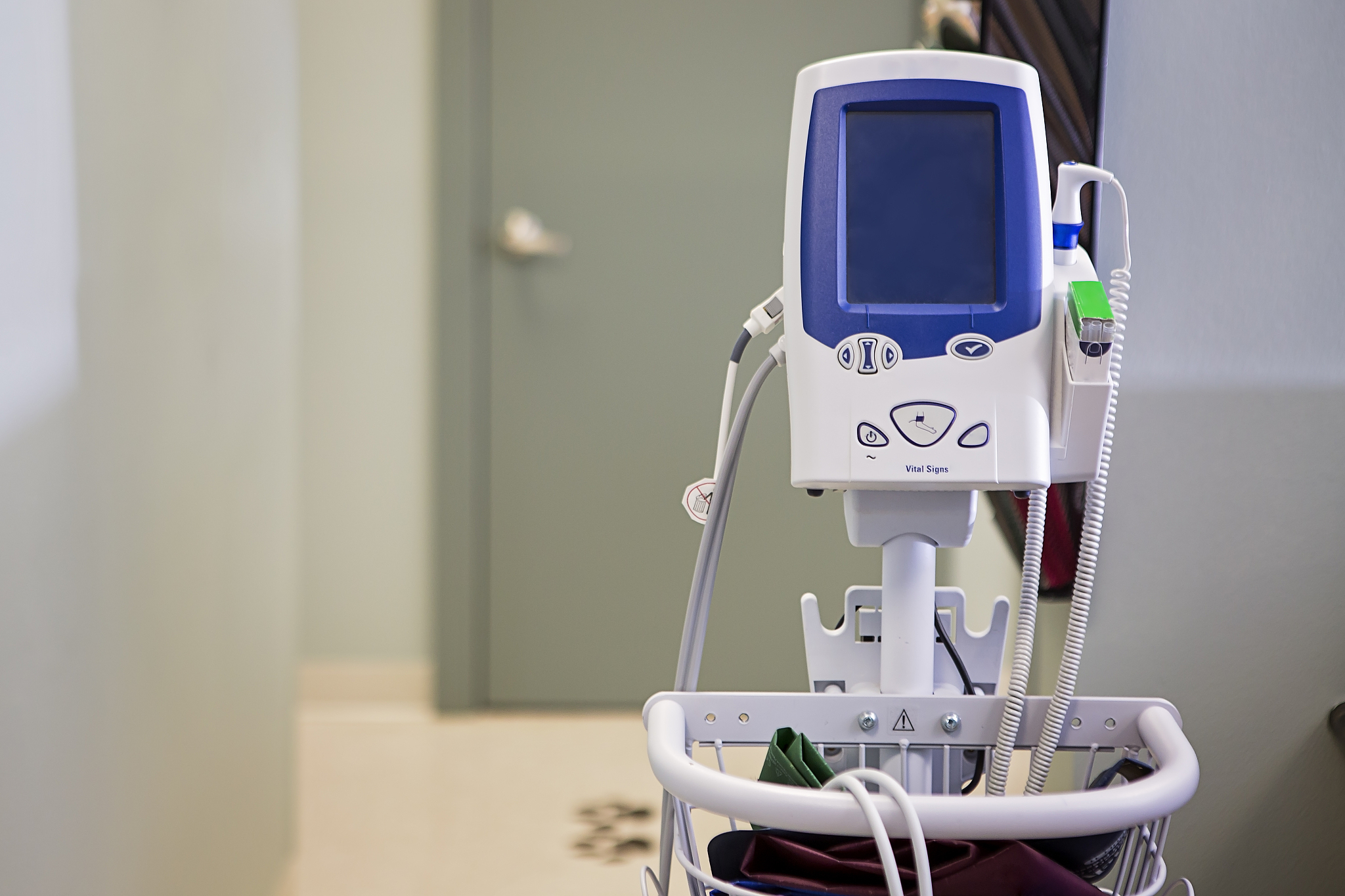 单片机人体健康检测系统：高效便捷的健康监测利器